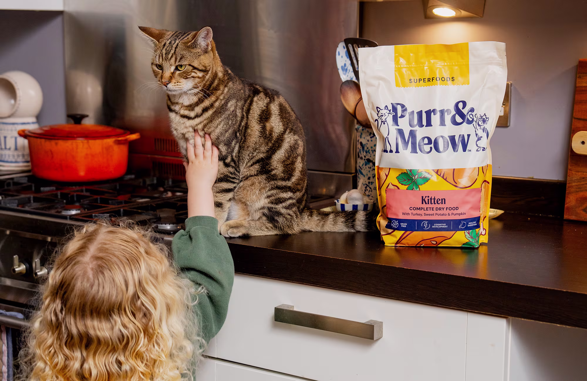 P&M WEB CAT COLLECTION BANNER KITTEN