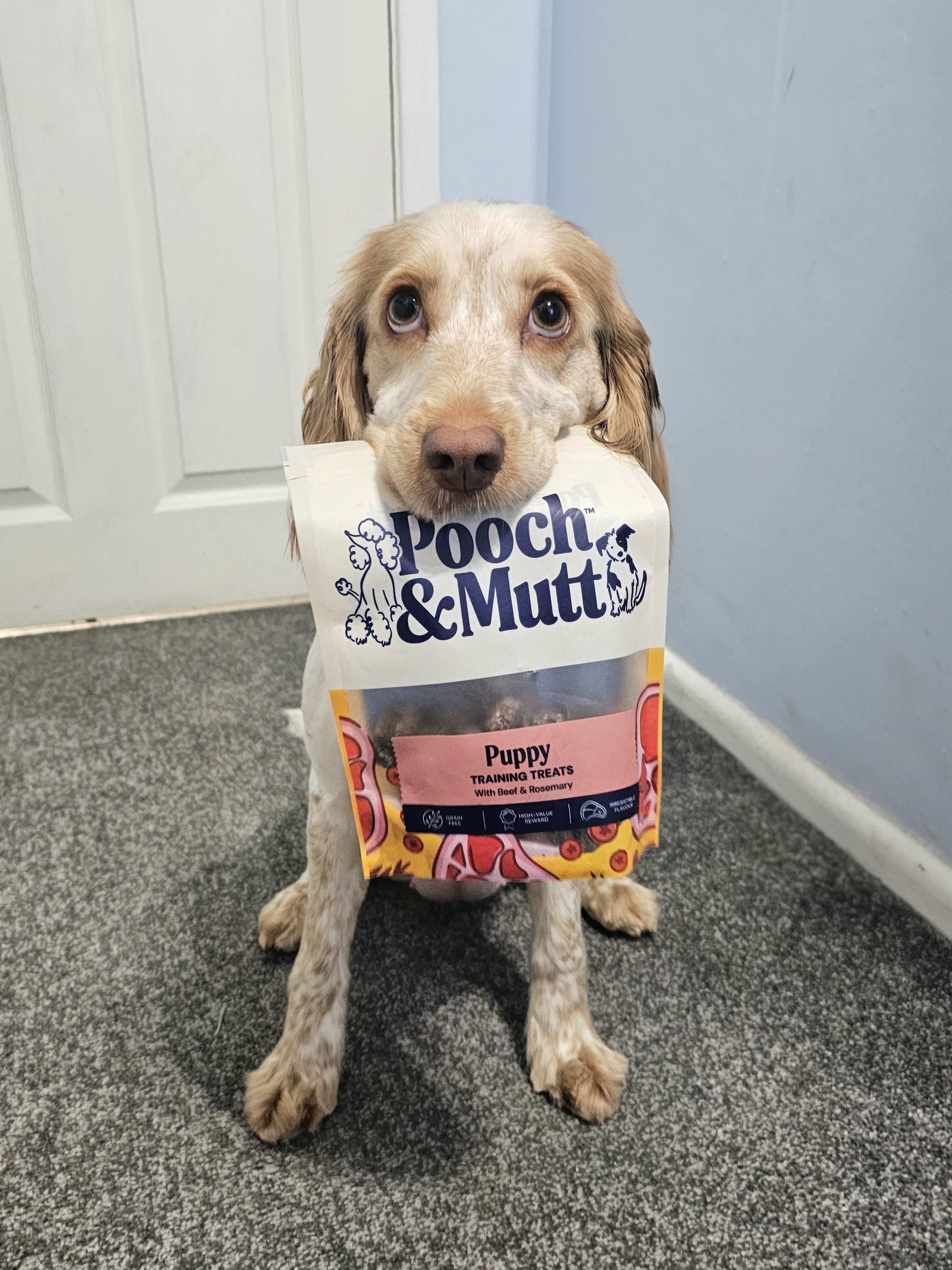 20260117 160602(1) - Nicola Widdowson