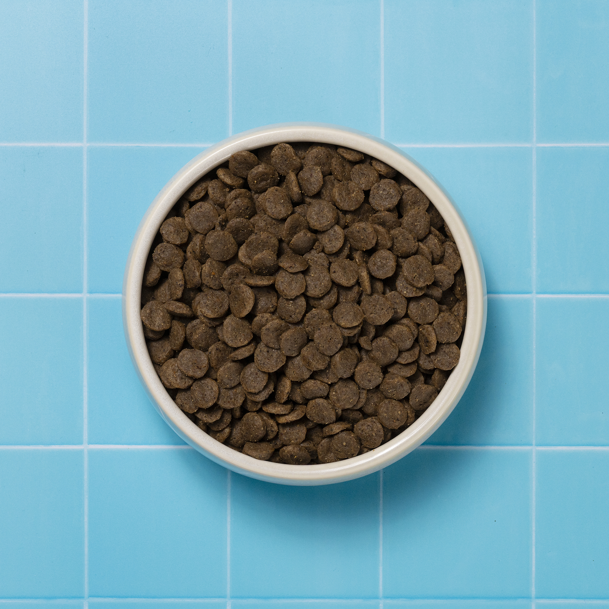 Bowl of Hepatic Dry Dog Food 