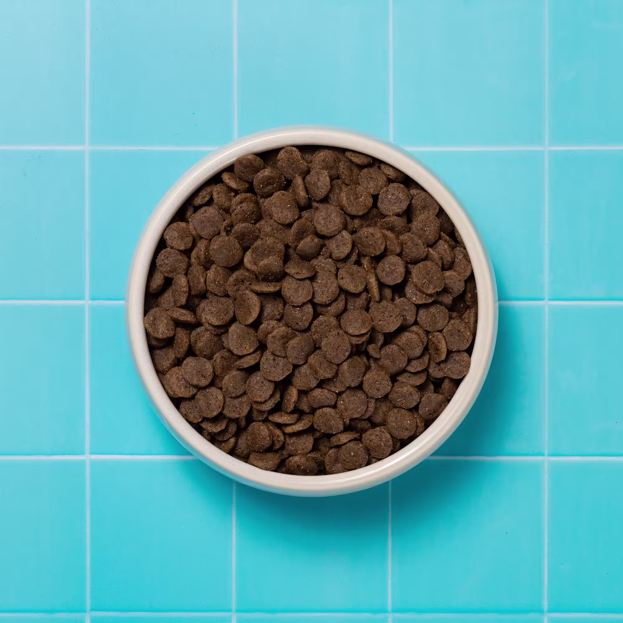 Bowl of Hepatic Dry Dog Food 