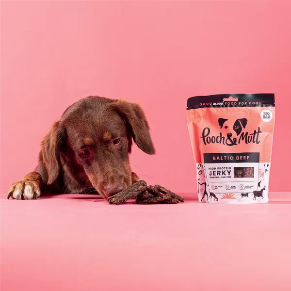 High value dog treats - The complete guide-Image 1