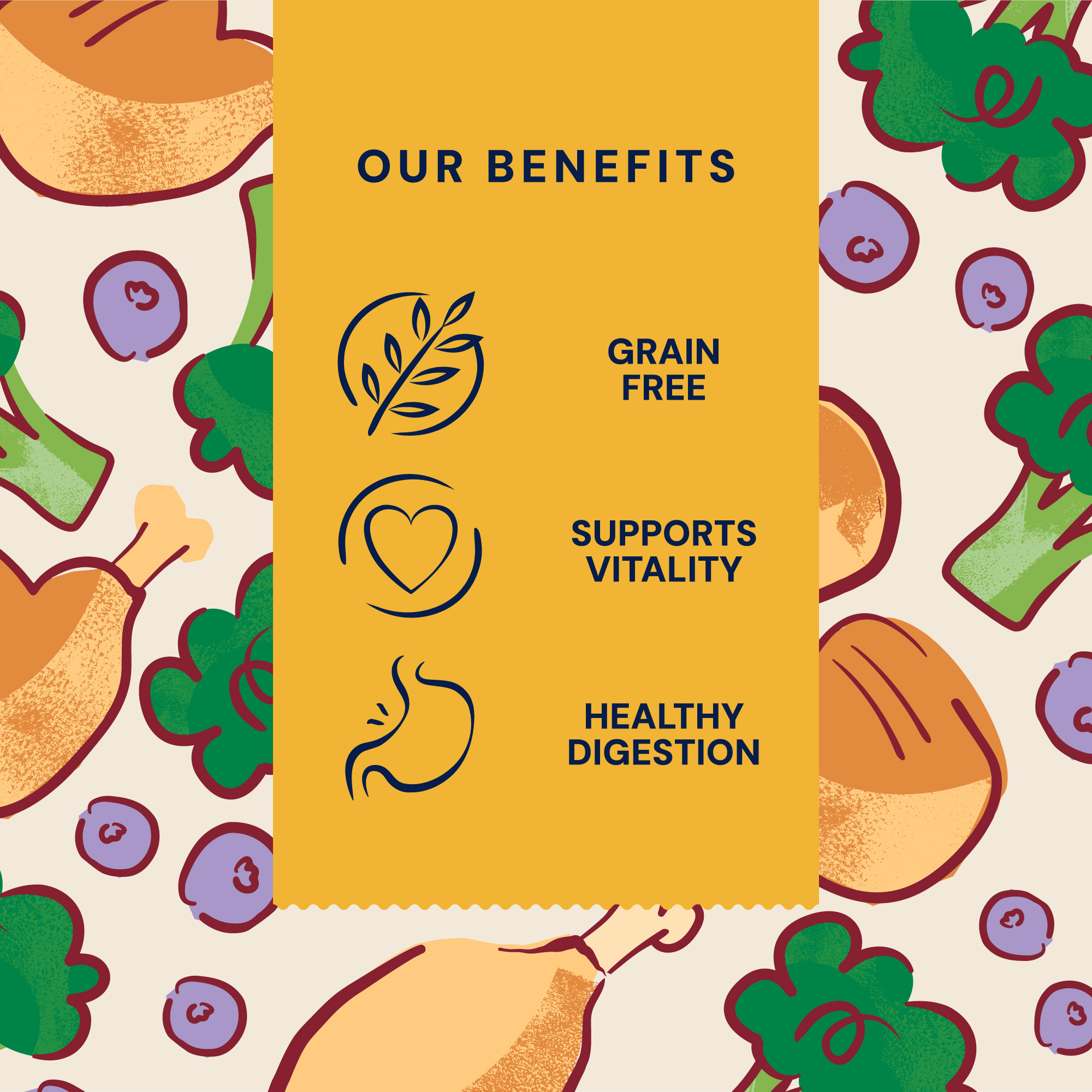 P&M BENEFIT-CARD WET-FOOD SUPERFOODS TURKEY-&-CHICKEN