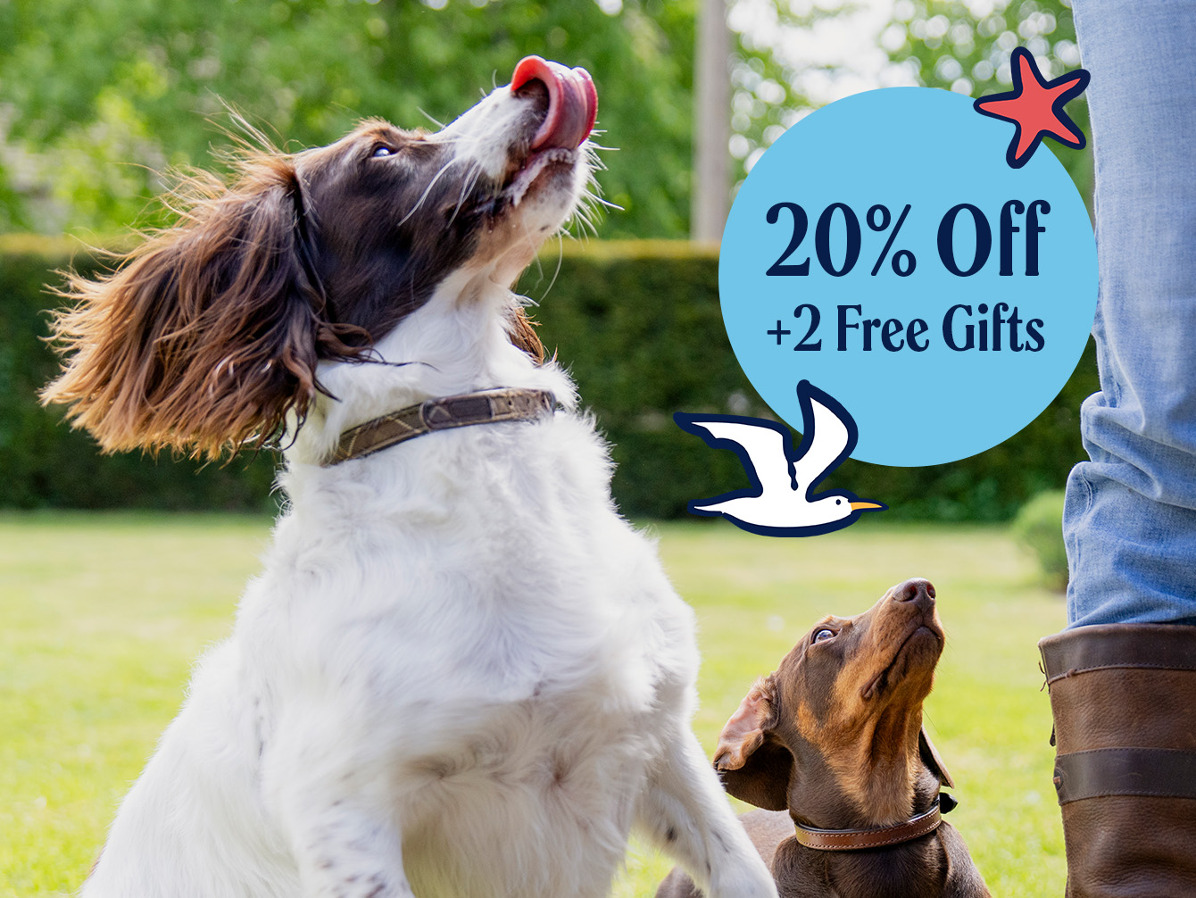 WEBSITE P7 SALE HOMEPAGE IMAGE 2 FREE GIFTS