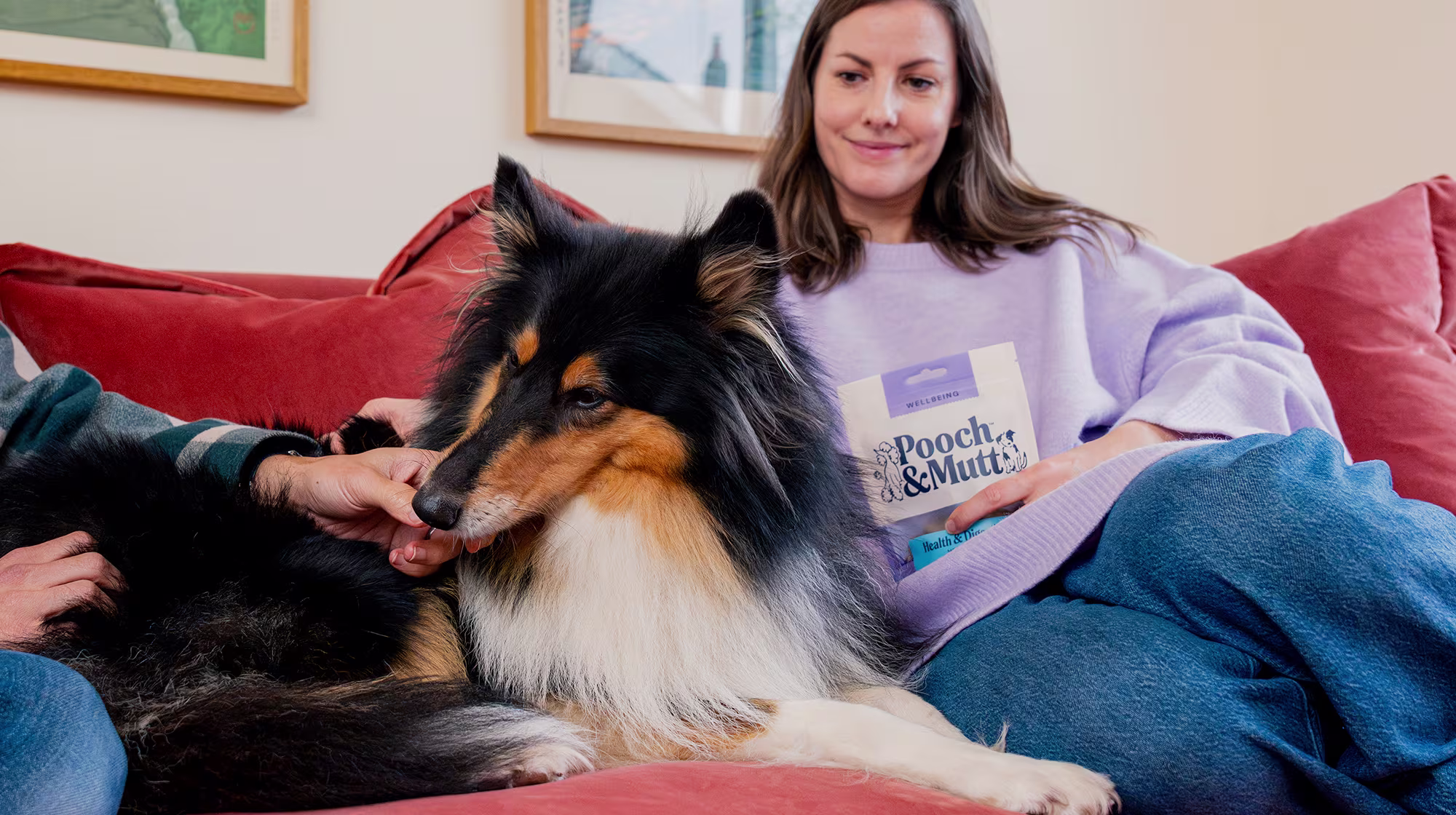 BLOG HEARING DOGS BODY IMAGE 2