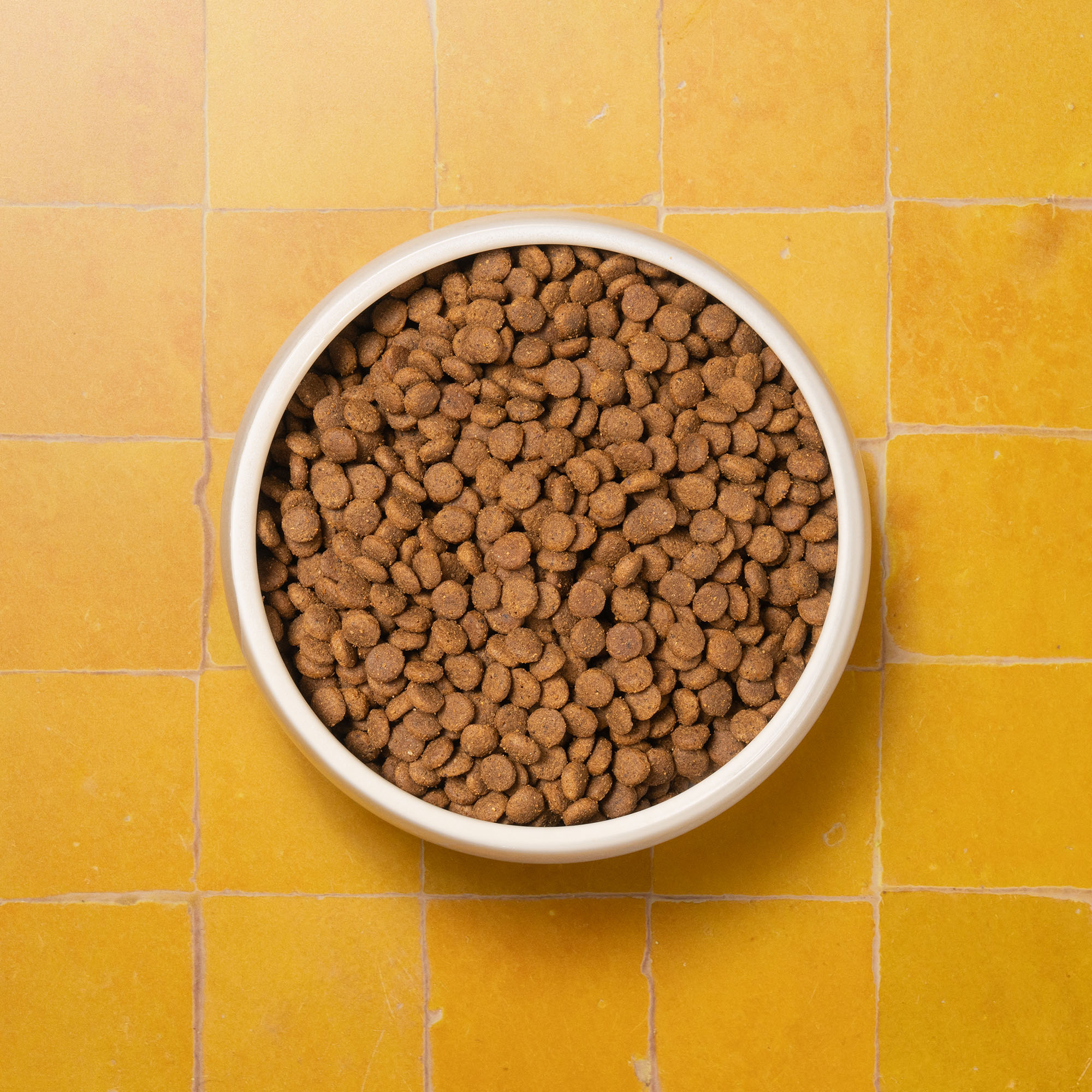 P&M CAT SUPERFOODS SENIOR DRY FOOD 72dpi