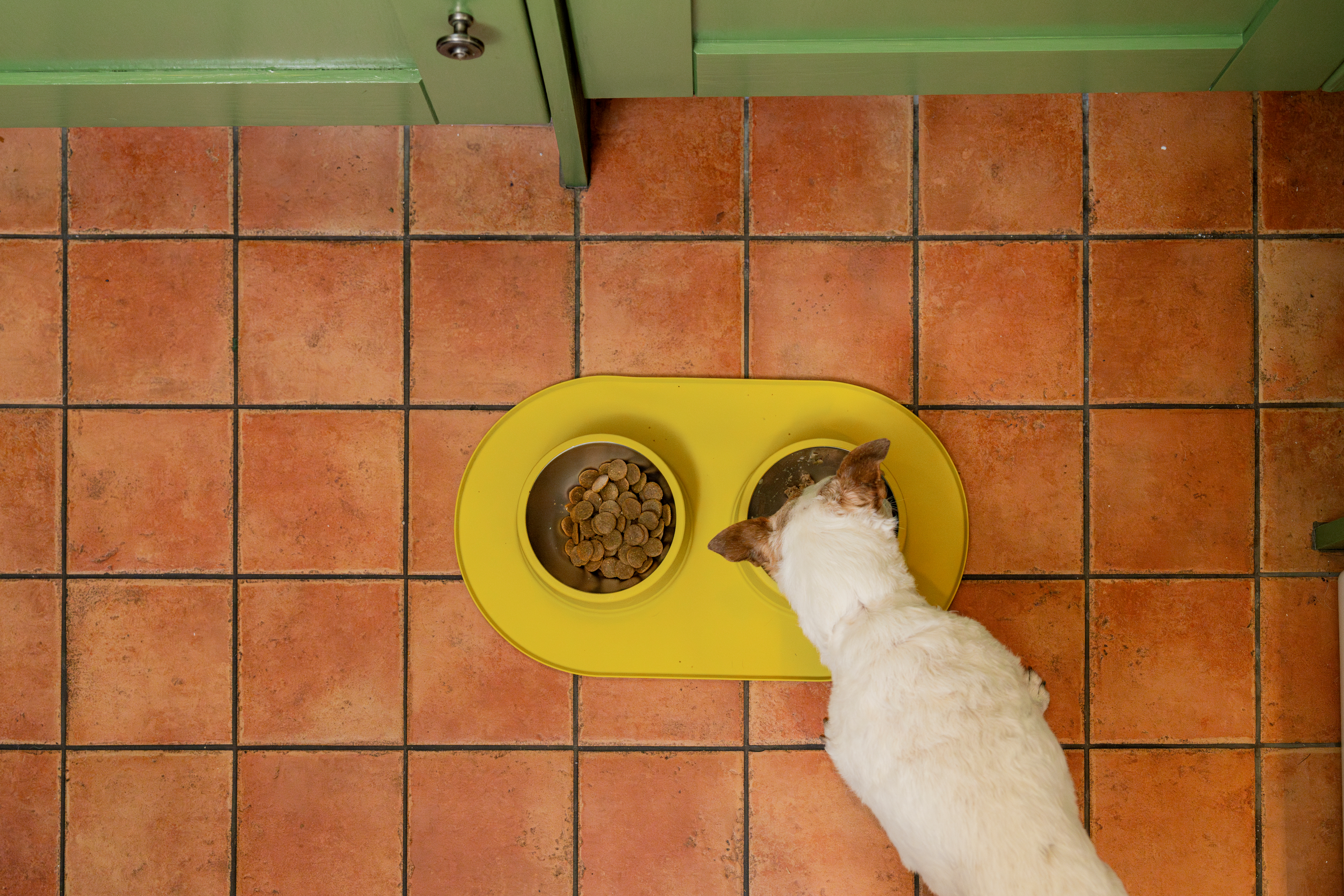 23ed83caa31e26ea8229c49806ff7e95bb2559fb