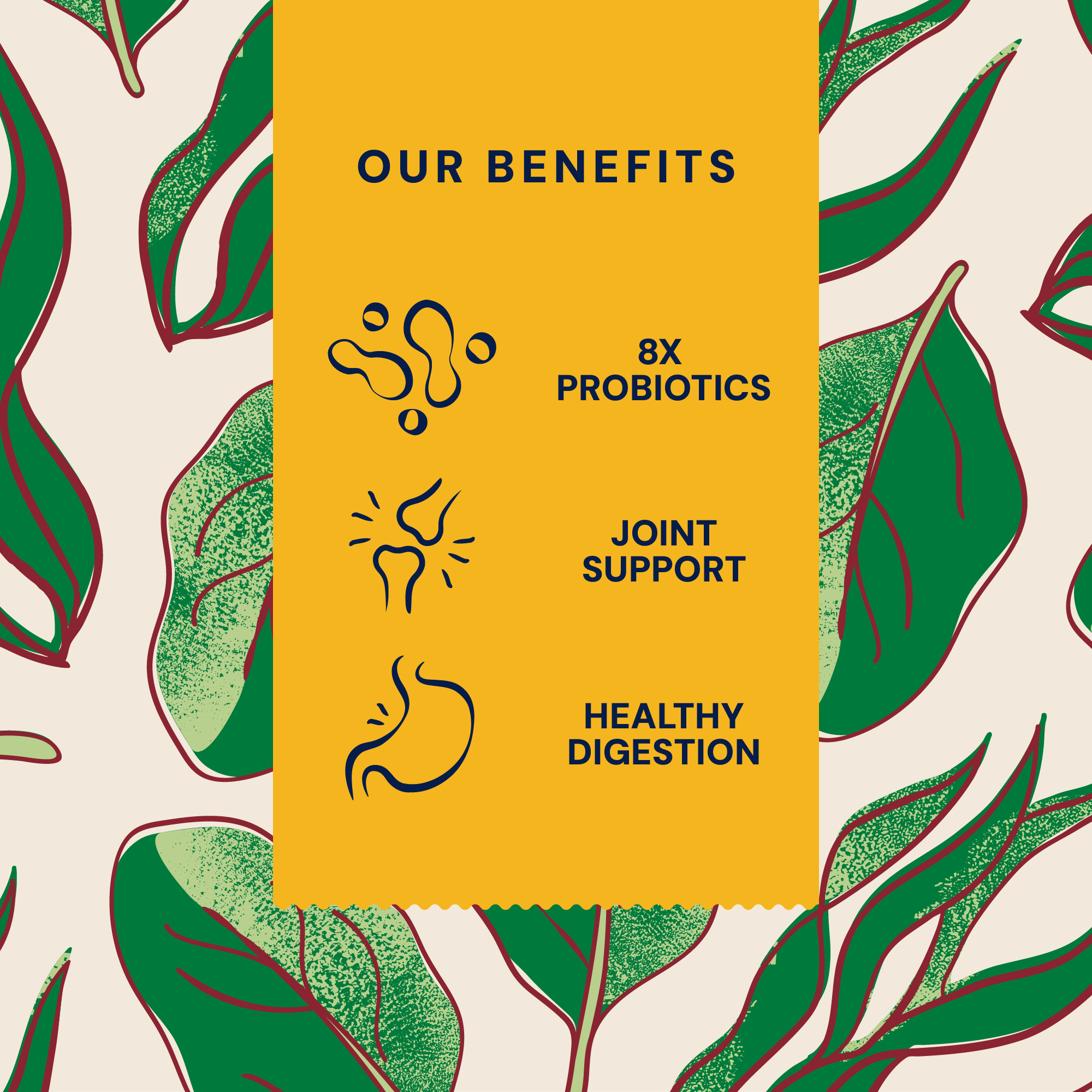 P&M BENEFIT CARD SUPPLEMENTS SUPERFOODS GREENS POWDER