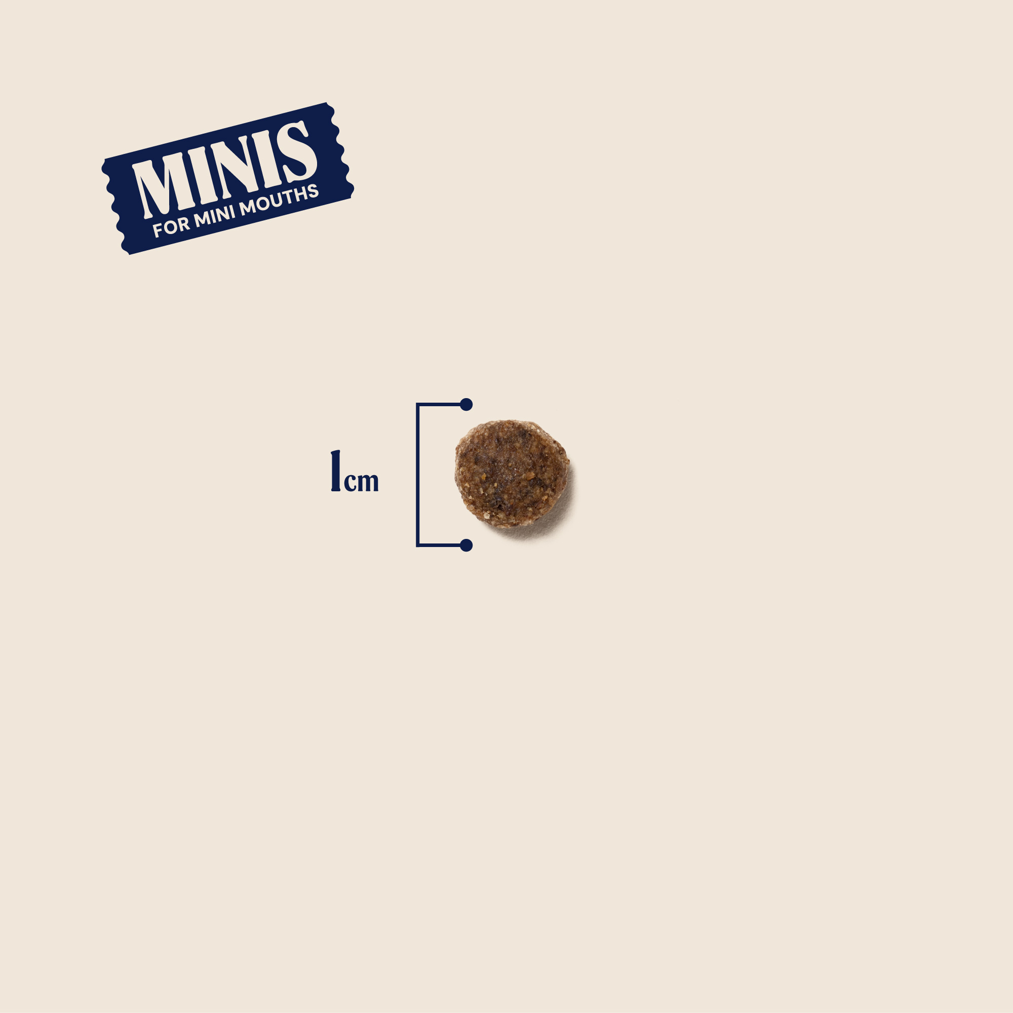 P&M SIZE DRY-FOOD WELLBEING HEALTH-&-DIGESTION-MINIS