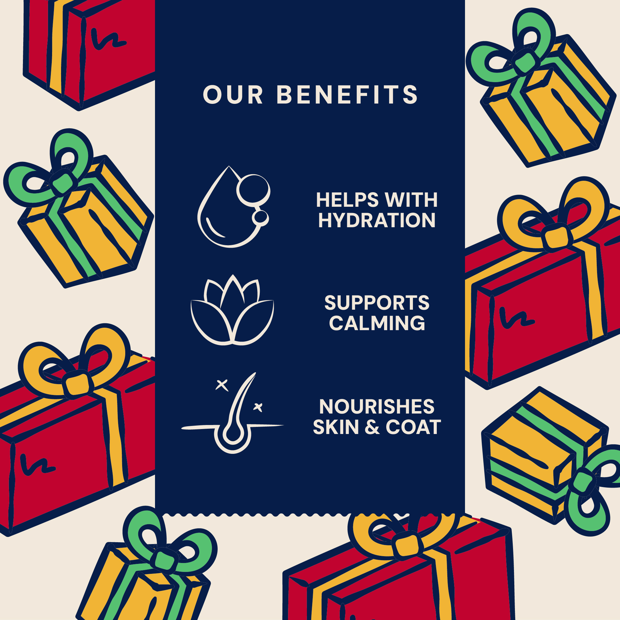 P&M BENEFIT CARD BONE BROTH LIMITED EDITION CHICKEN GRAVY