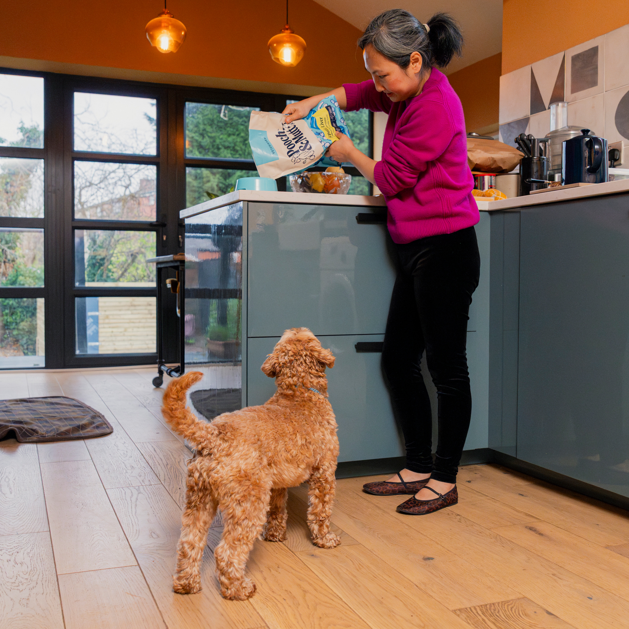 Hepatic Dry Dog Food VET1.5LIVER 1 lifestyle