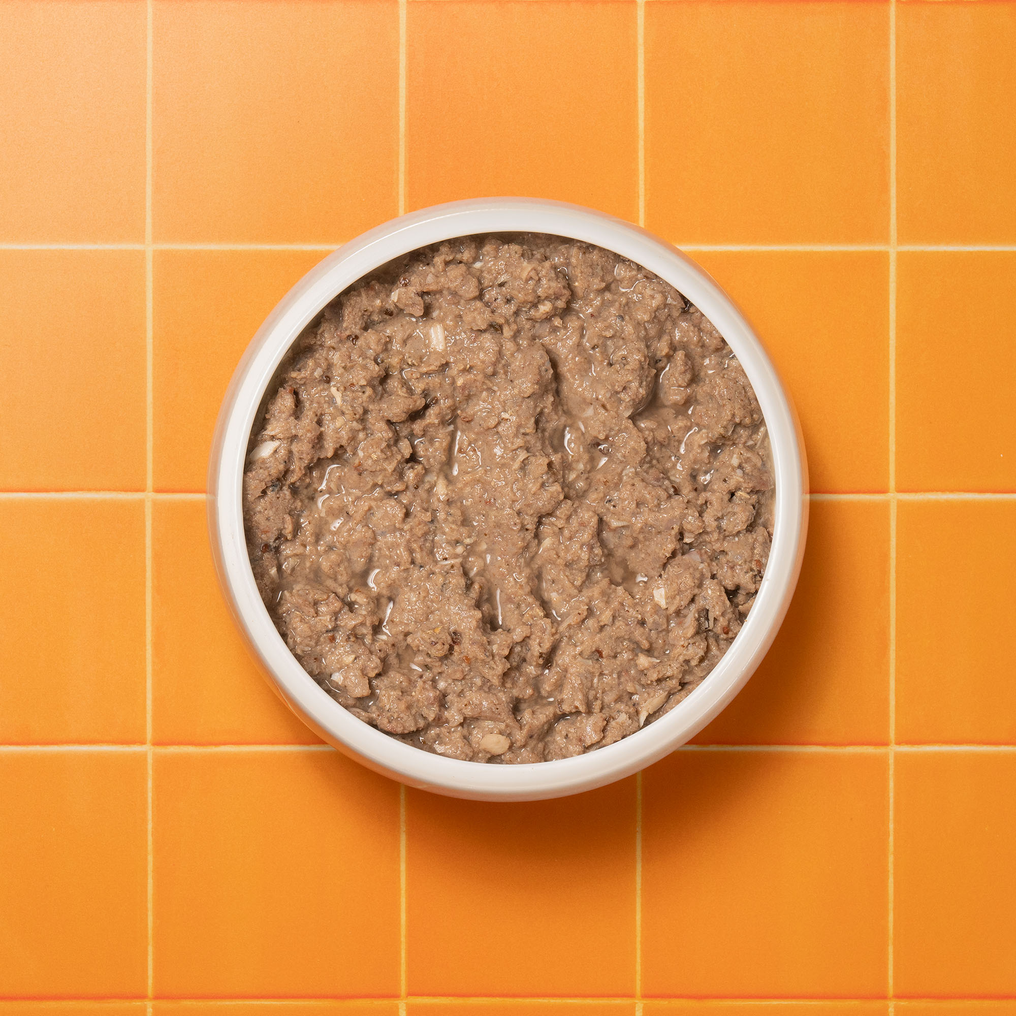 P&M CAT PRIMAL SALMON WET FOOD 72dpi