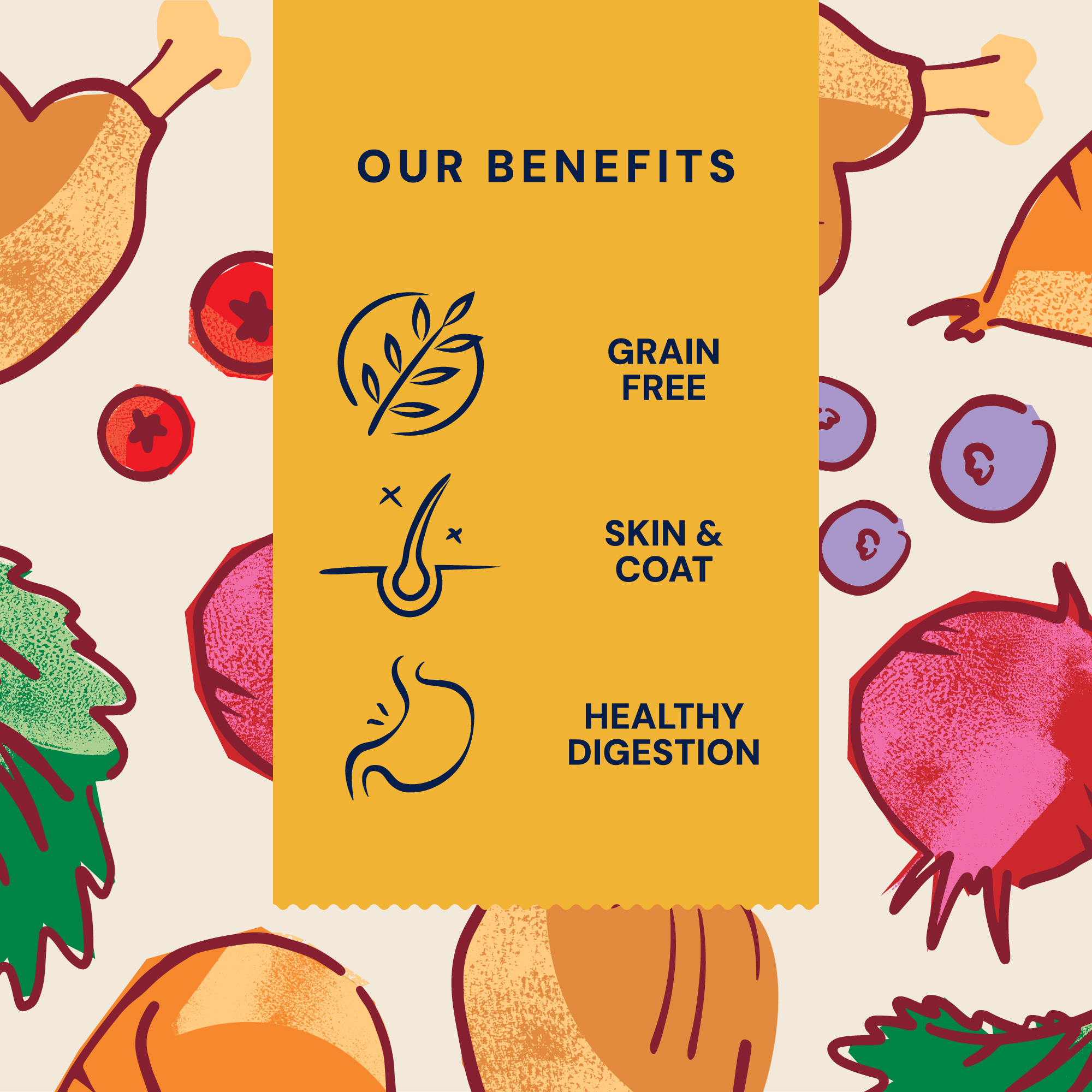 P&M BENEFIT-CARD DRY-FOOD SUPERFOODS ADULT