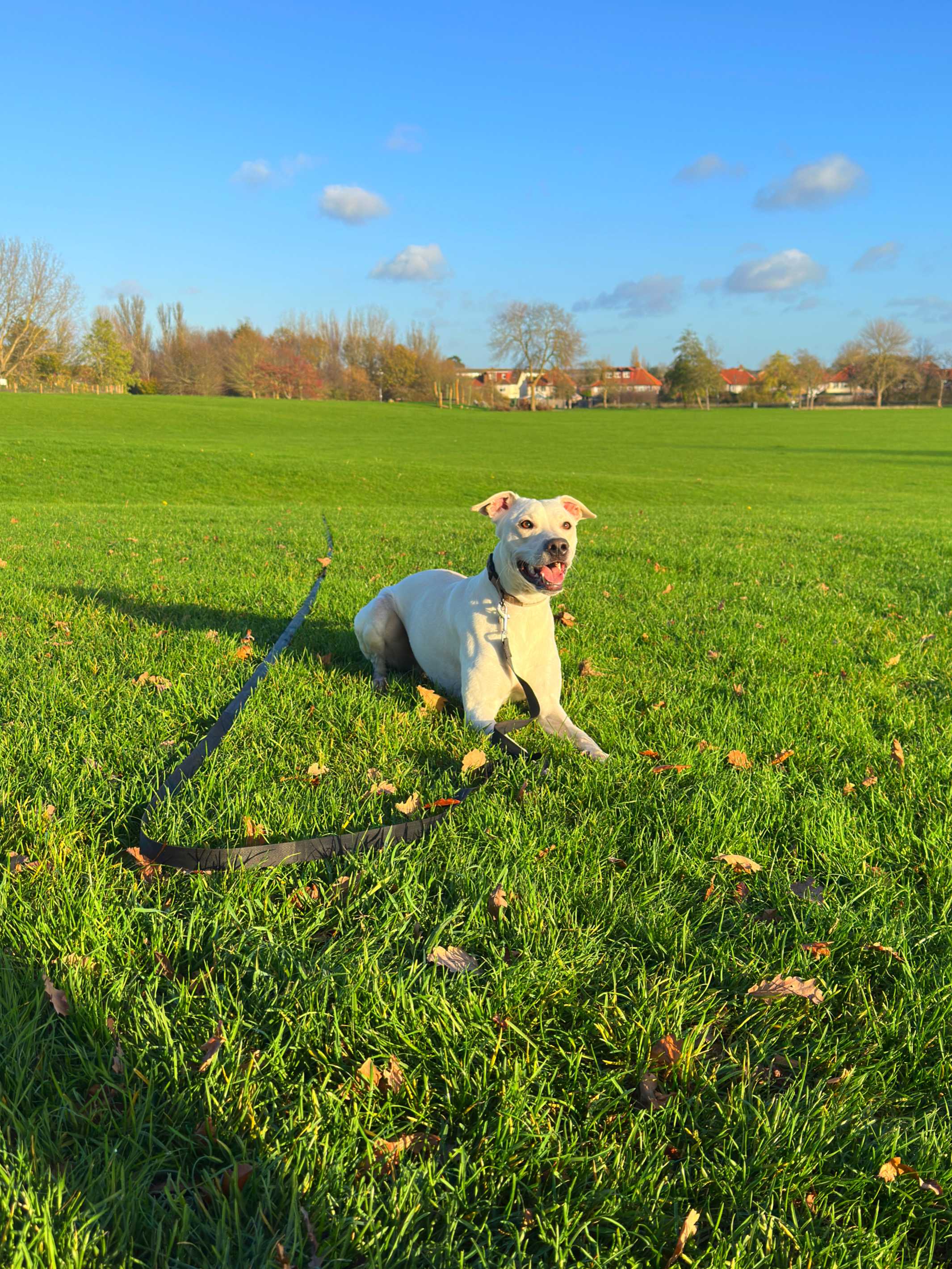 42694561-4E73-4B89-A65D-81E662E13534 - Sian Wilmot