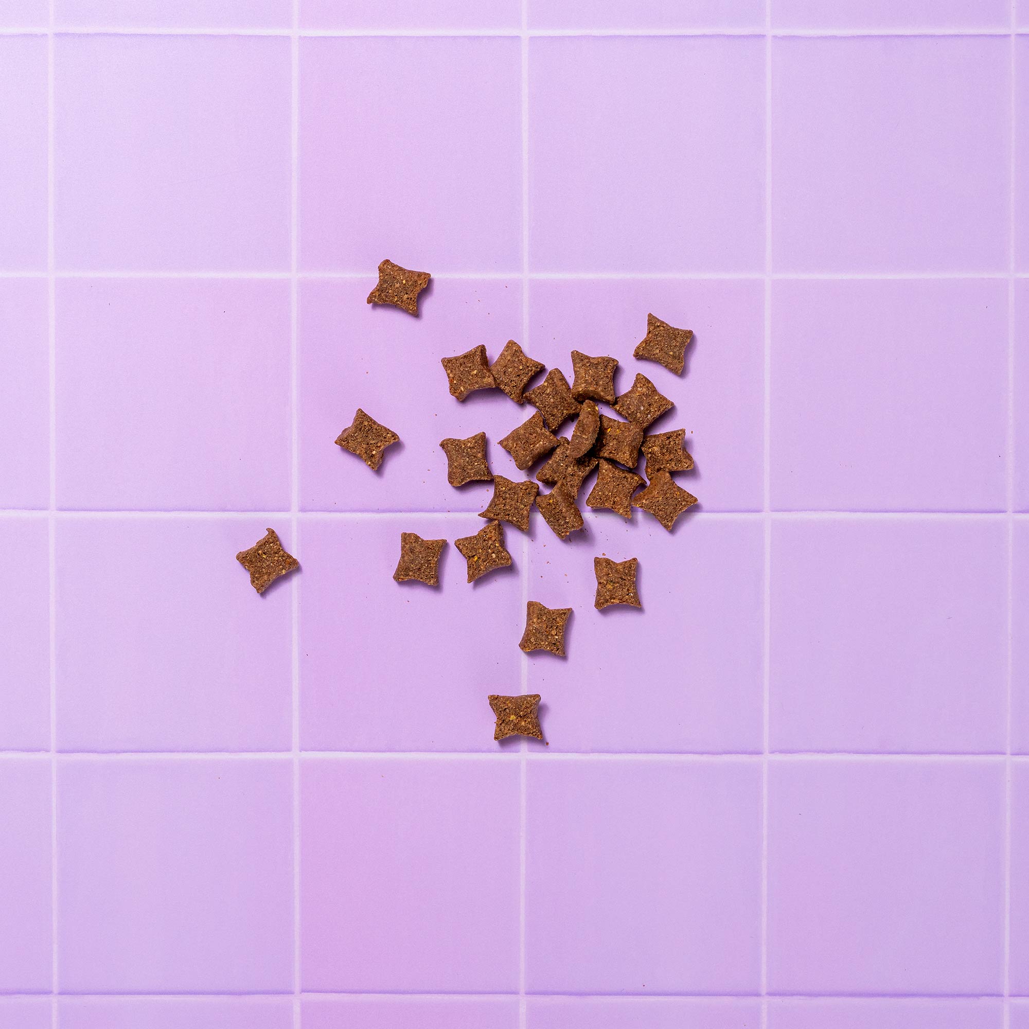 S&C TREATS WELLBEING P&M REBRAND