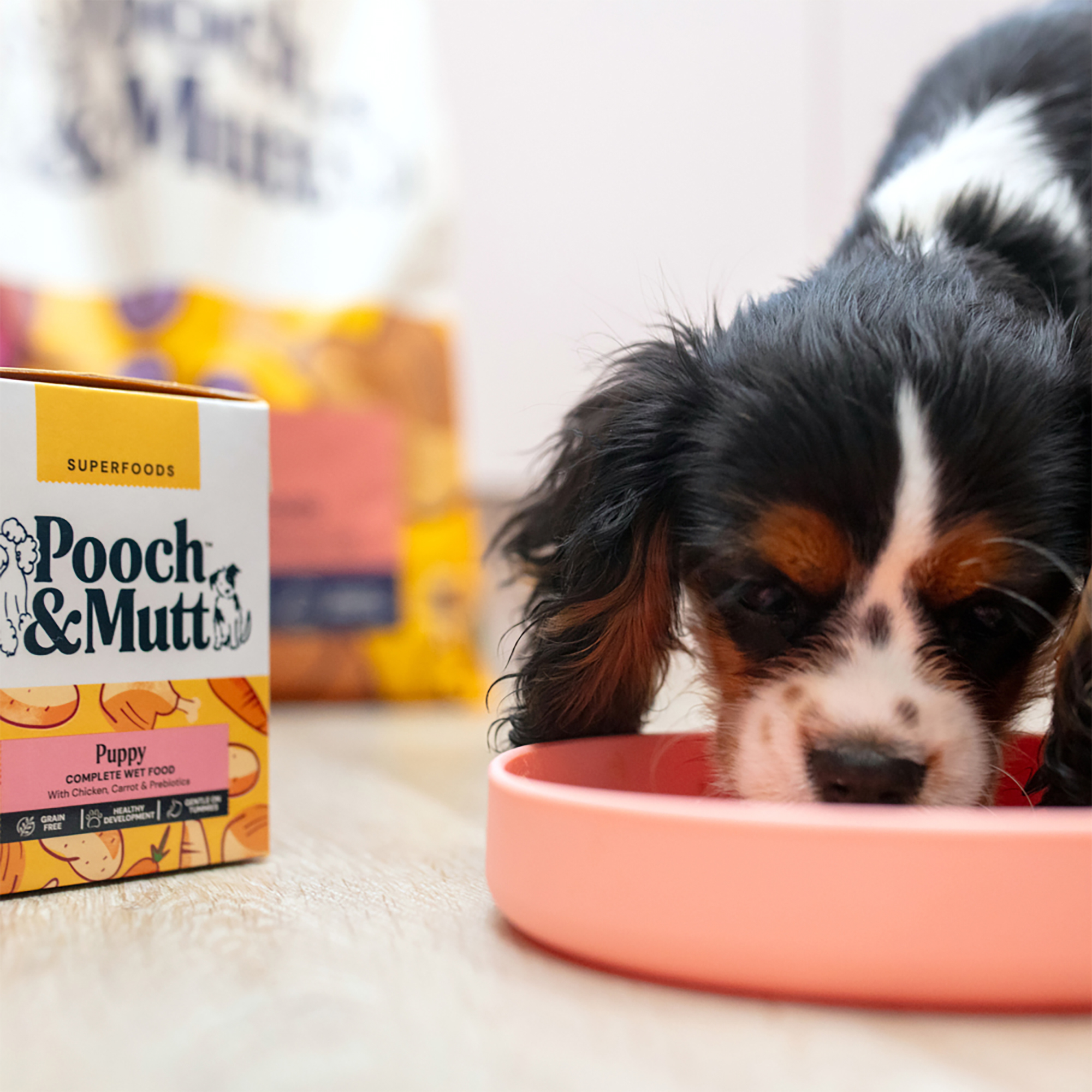 PUPPY Wet Food TETRA375CBX12 1 LIFESTYLE