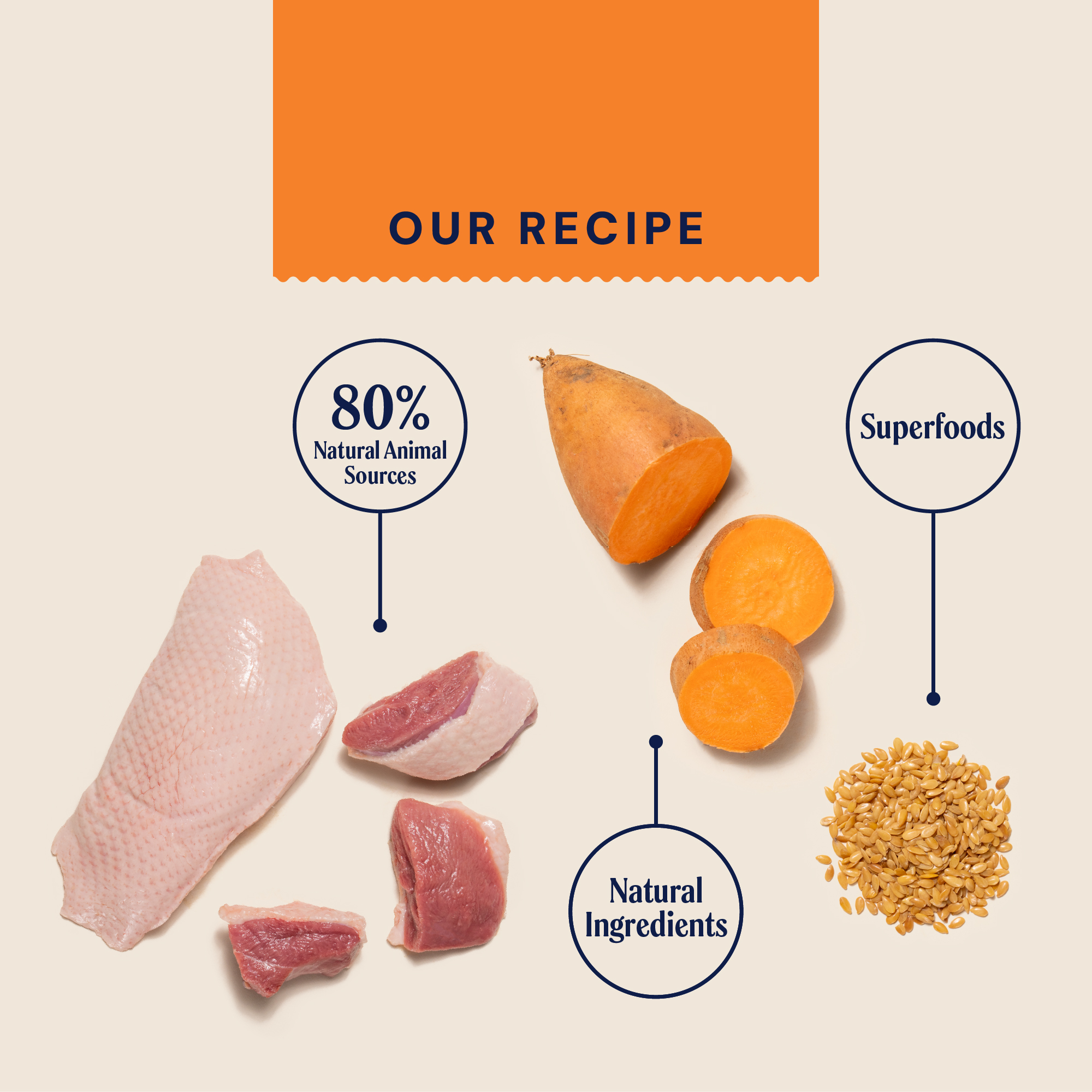 Primal Duck & Turkey Dry Cat Food