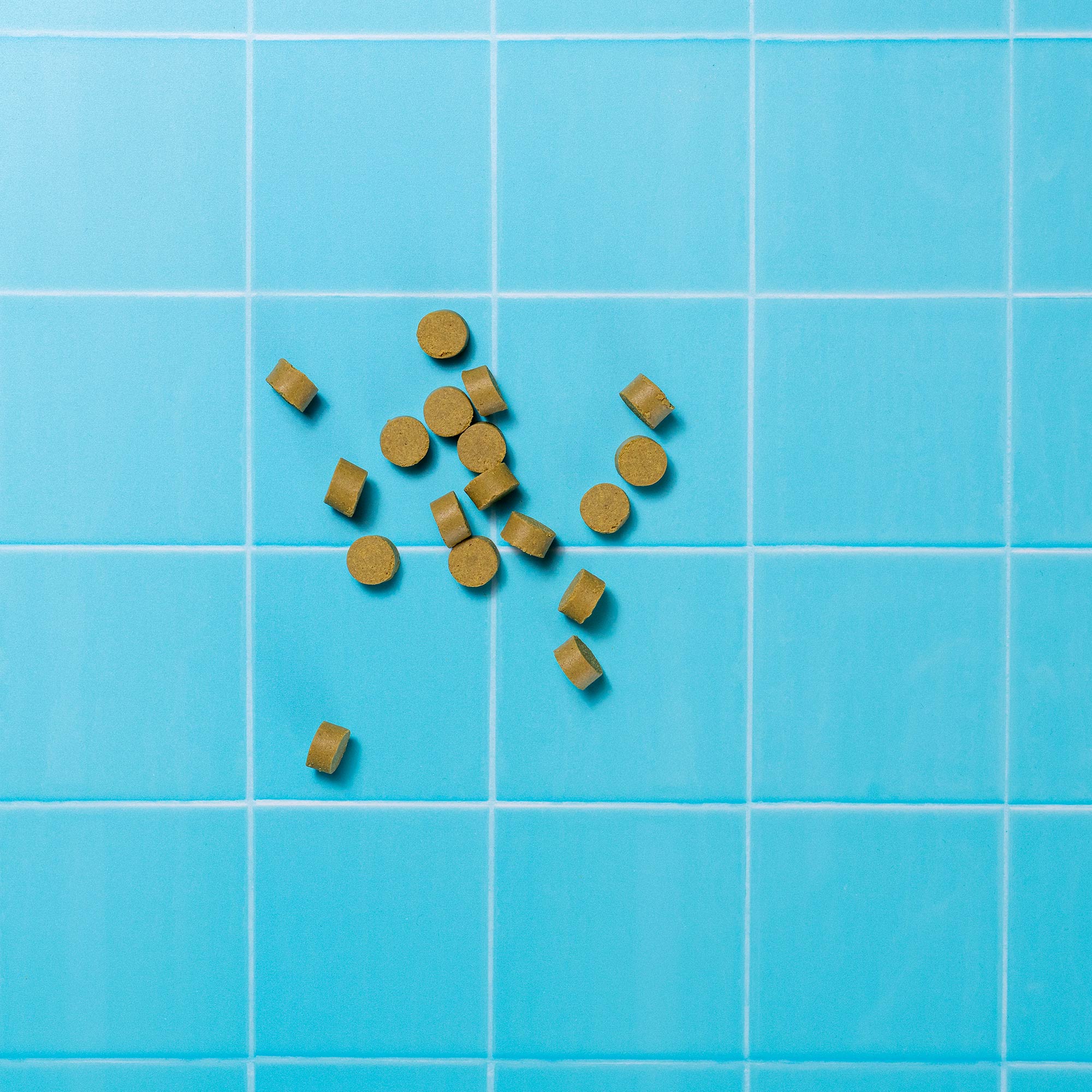 GSS MINIS VETERINARY P&M REBRAND