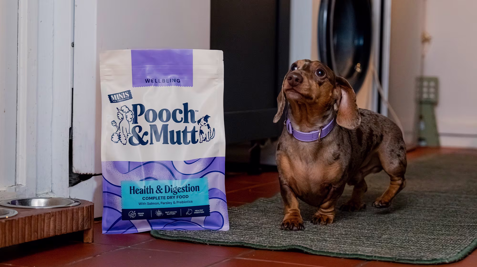 A Dachshund standing next to a bag of Pooch & Mutt's Health & Digestion Dry Food.