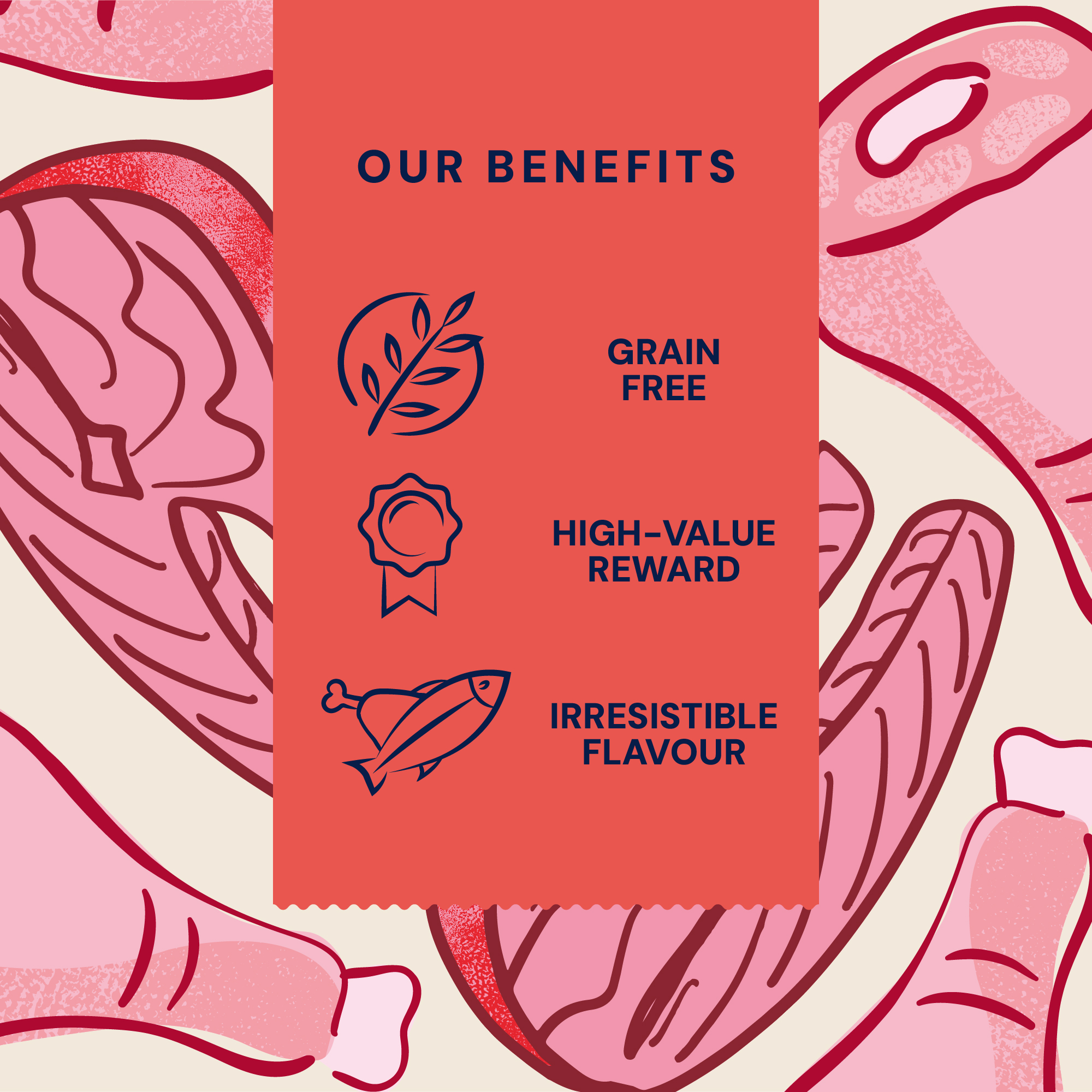 P&M BENEFIT CARD FREEZE DRIED RAW TURKEY & SALMON
