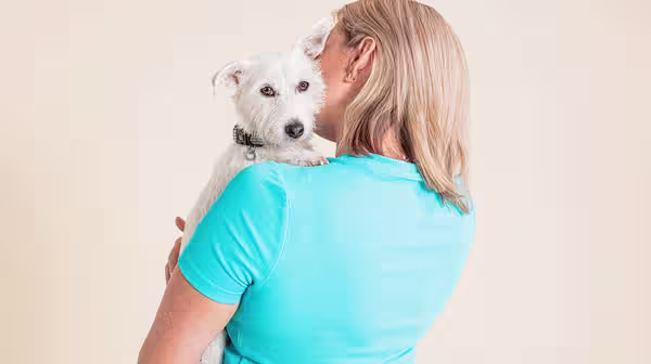 Mental health: How walking can help you and your dog-Image 2