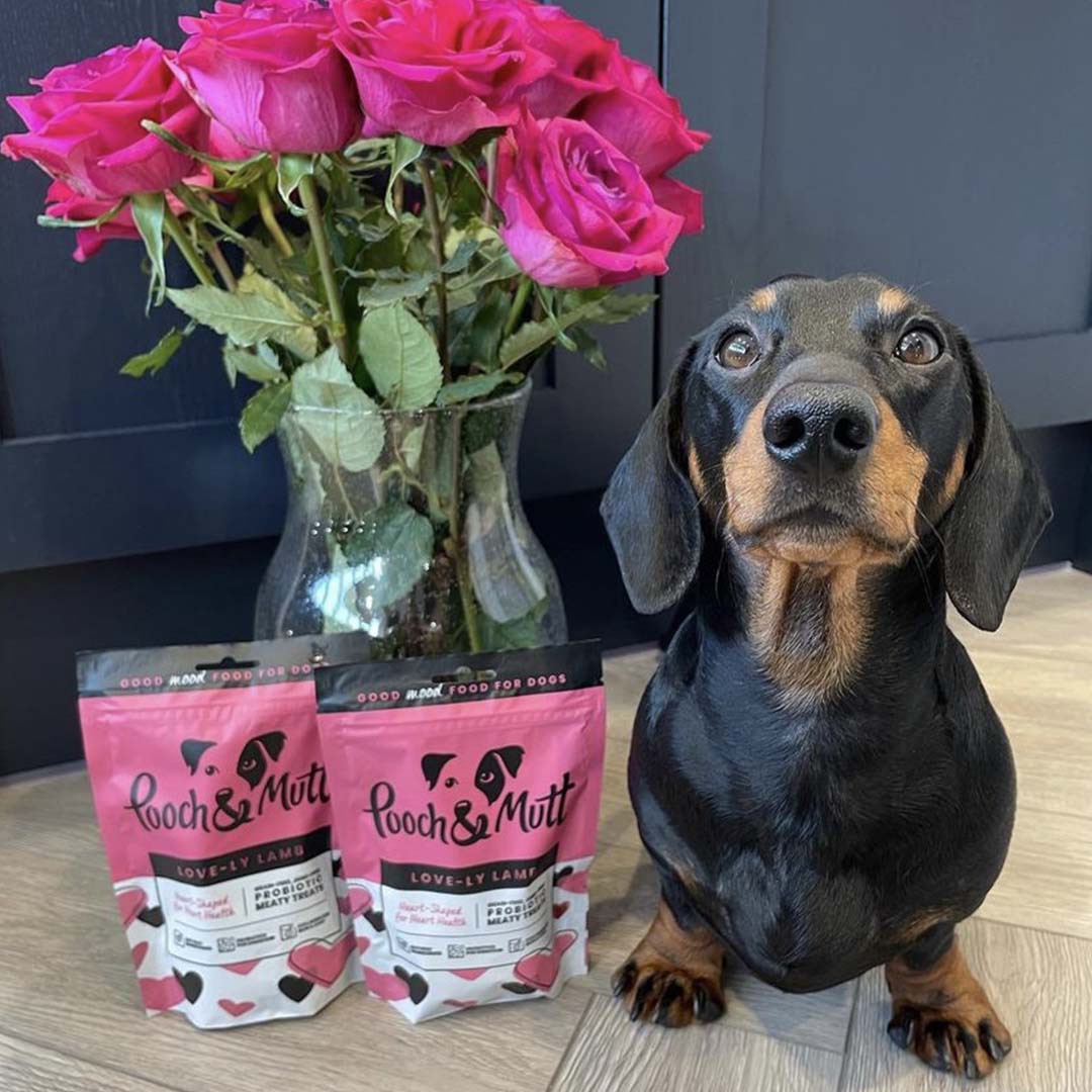 6 reasons to love our Love-ly Lamb Meaty Treats-Image 6