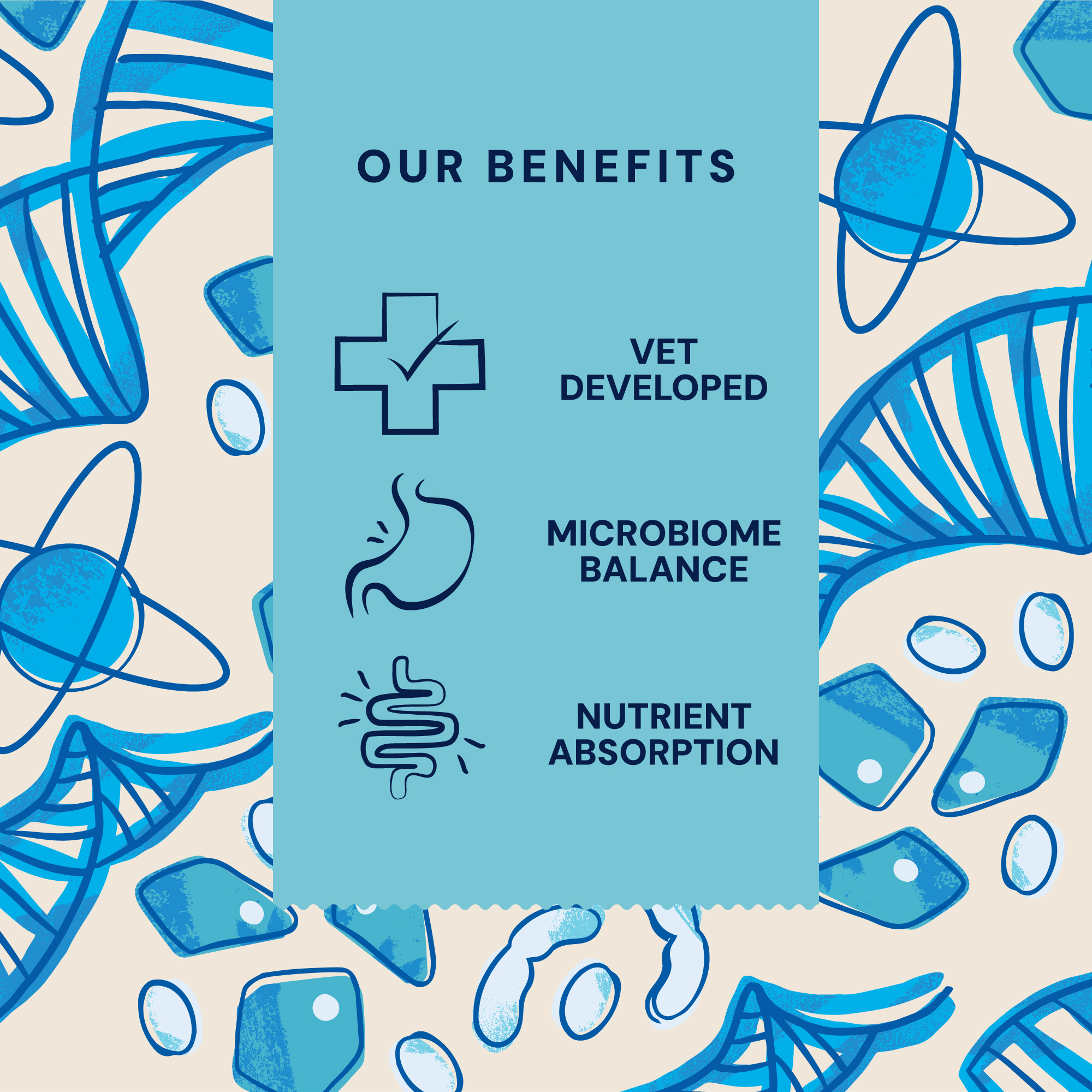 P&M BENEFIT-CARD SUPPLEMENTS VET MICROBIOME-SUPPORT