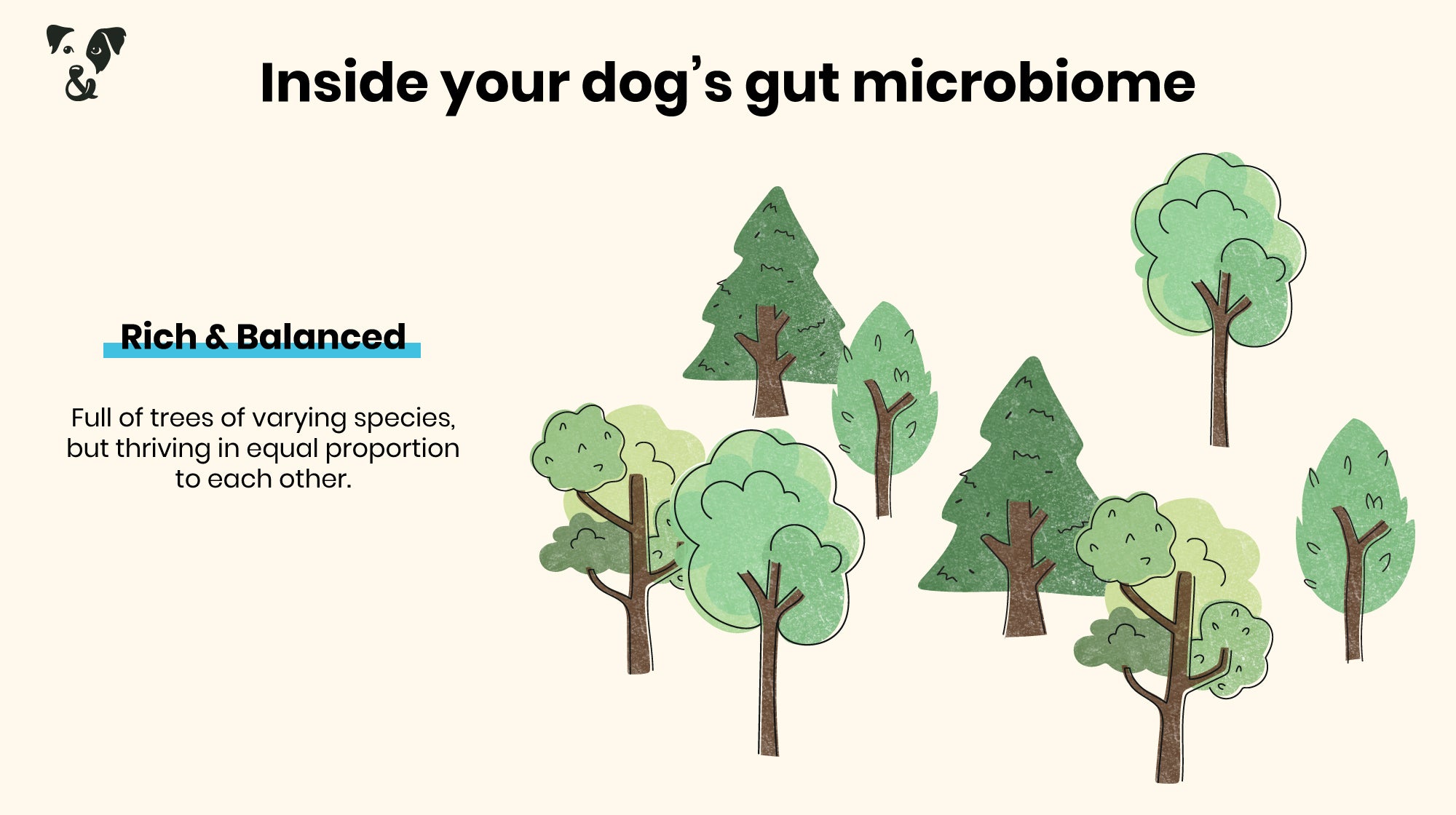 Your dog’s gut health: What is a microbiome?-Image 4