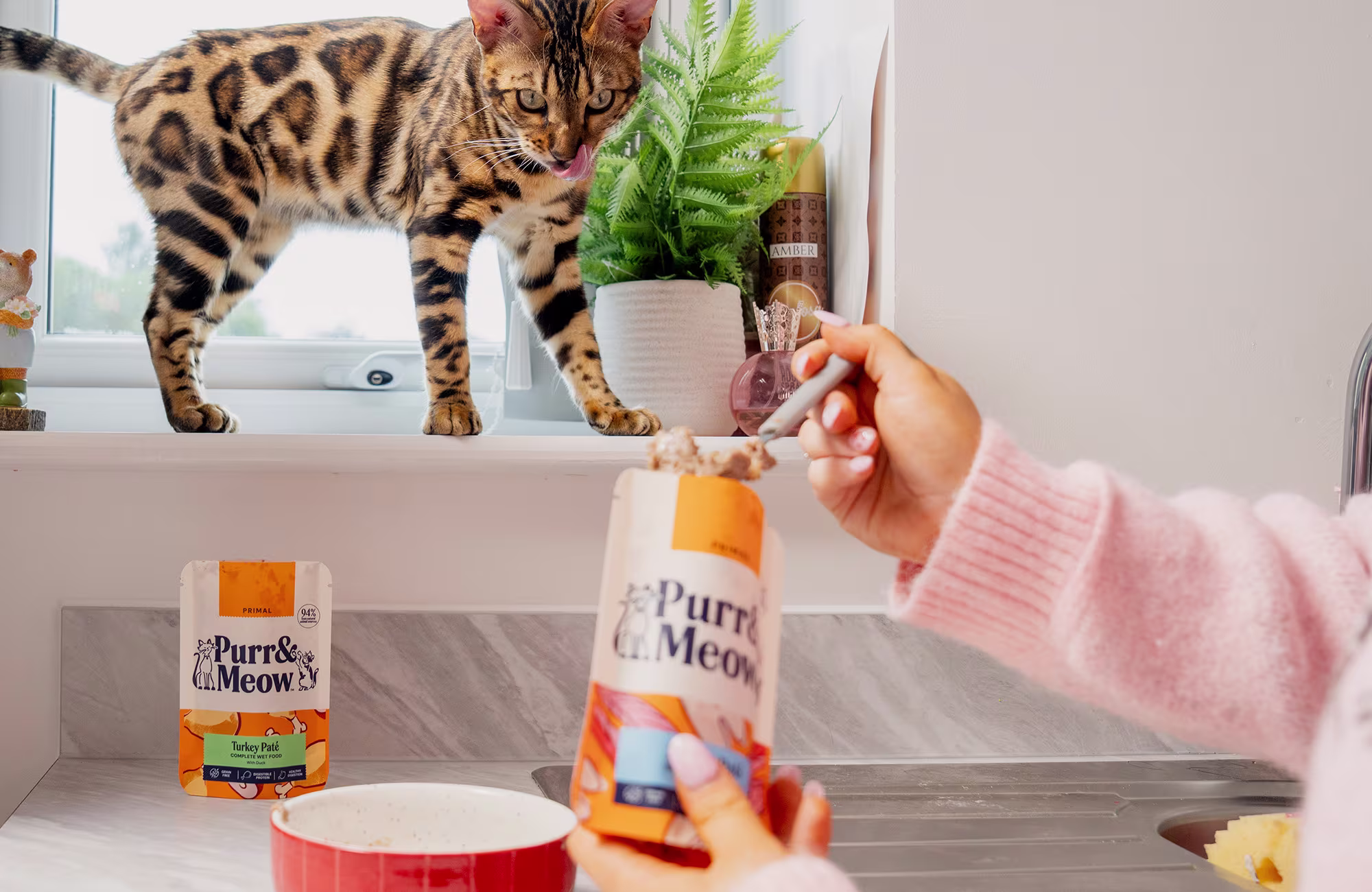 P&M WEB CAT COLLECTION BANNER PRIMAL