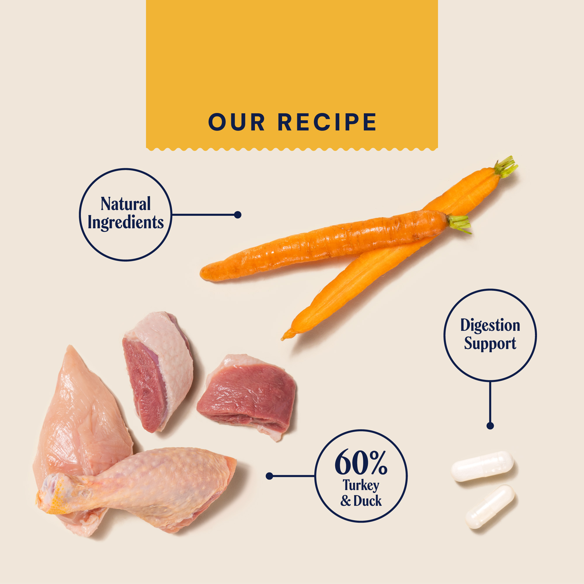 Turkey & Duck Wet Food TETRA375TD 1 recipecard