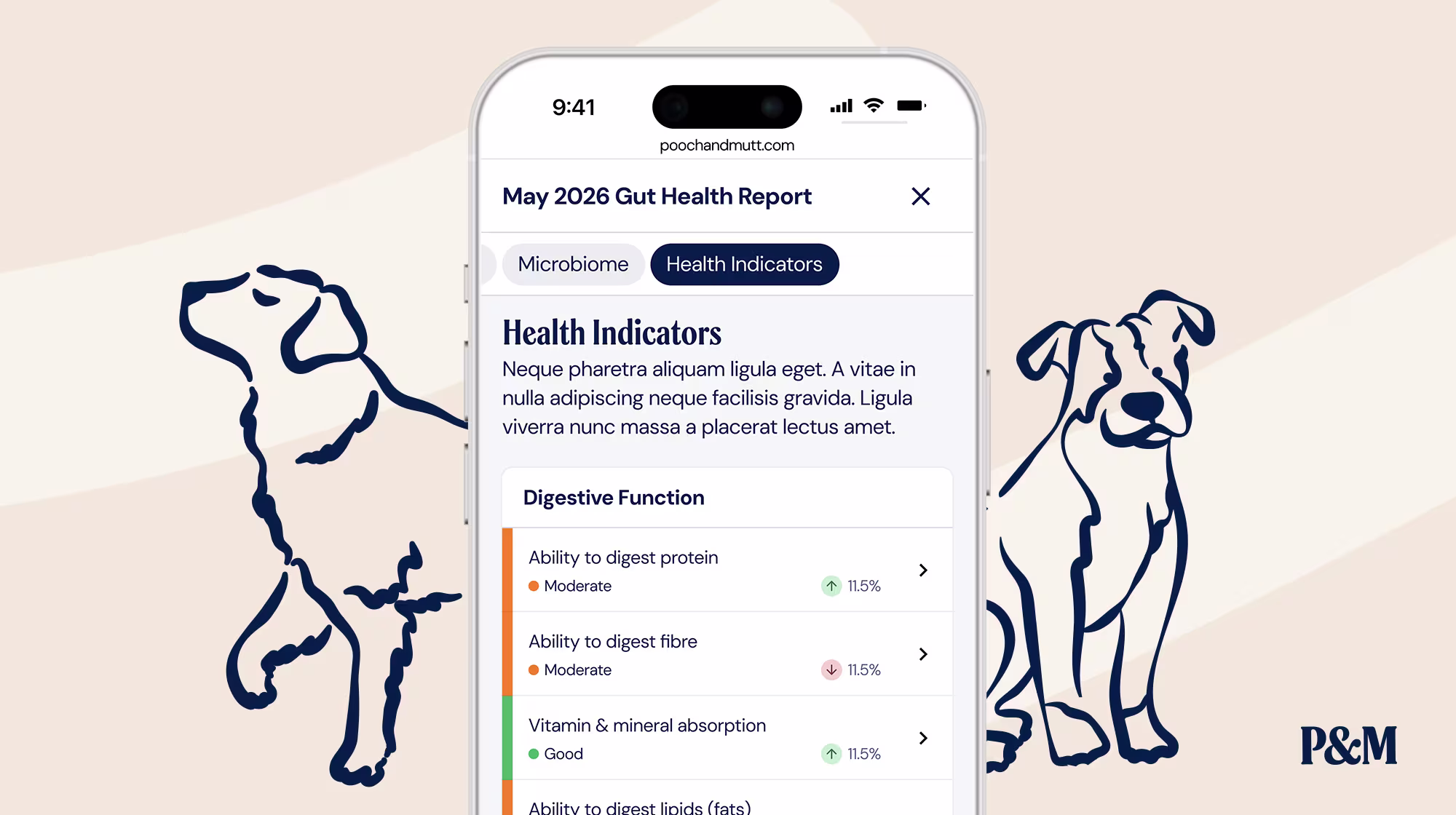 P&M BLOG INFOGRAPHIC GUT HEALTH TEST REPORT EXAMPLE 2