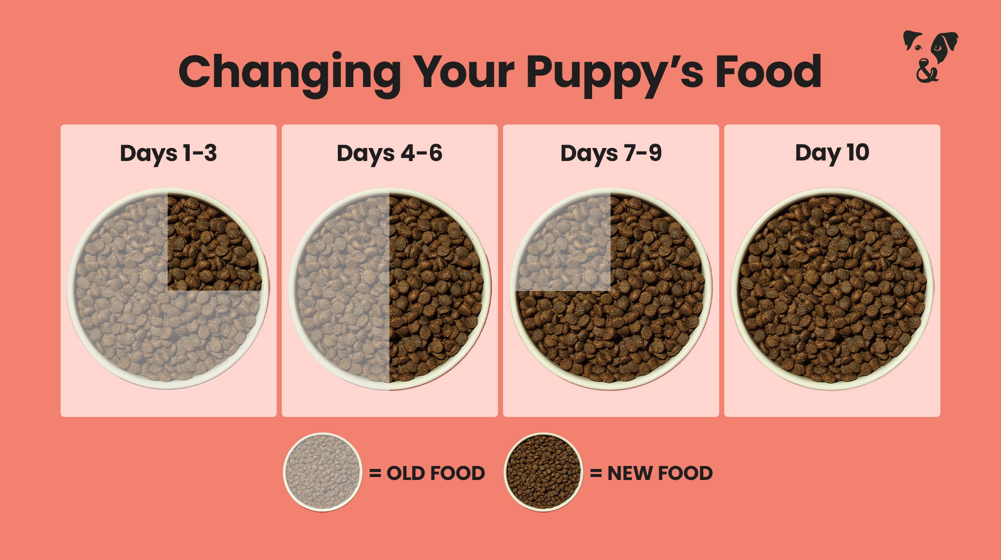 The Puppy Feeding Guide-Image 7