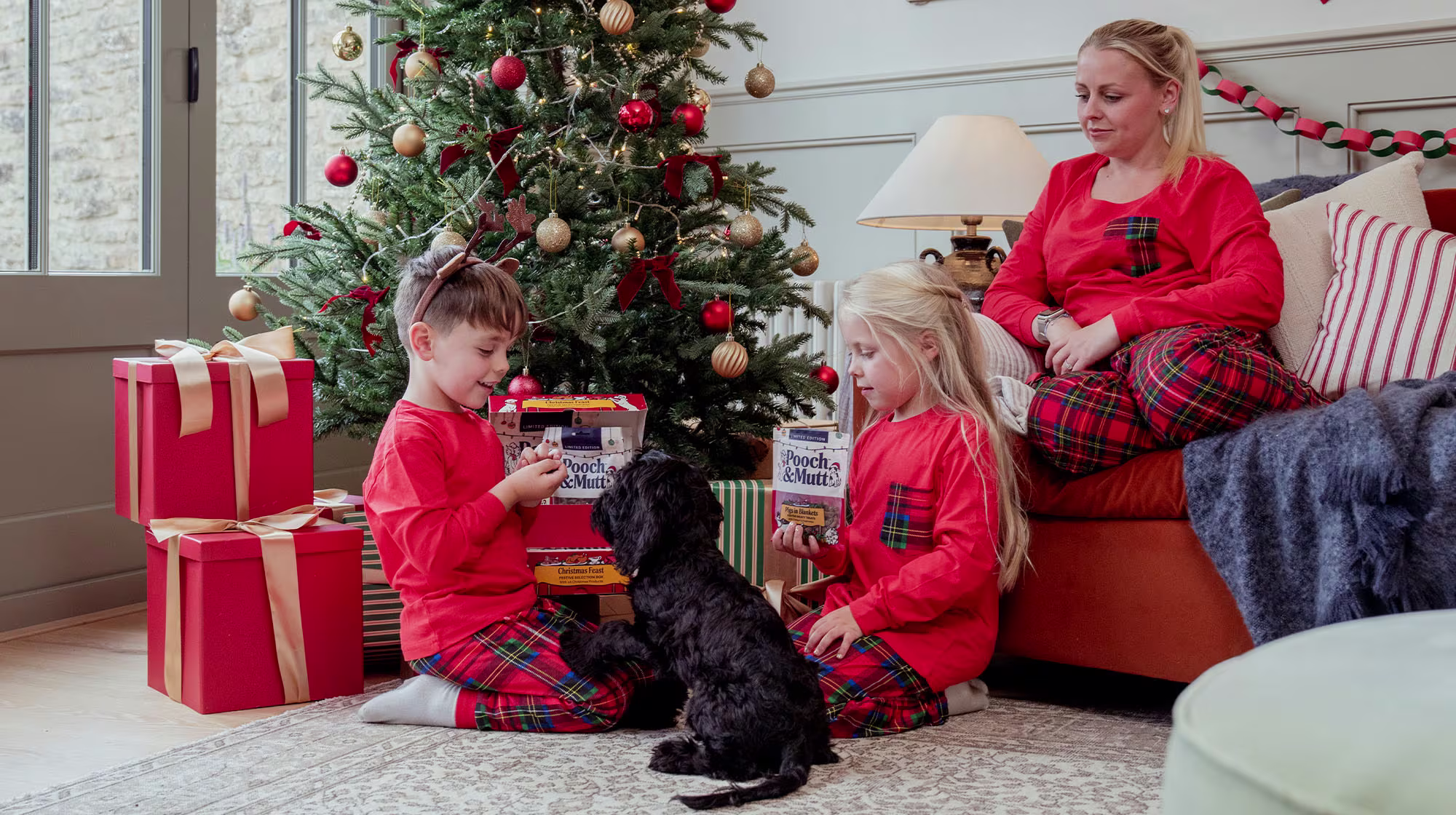 BLOG CHRISTMAS BLOGDOG FAMILY CHRISTMAS DAY 2