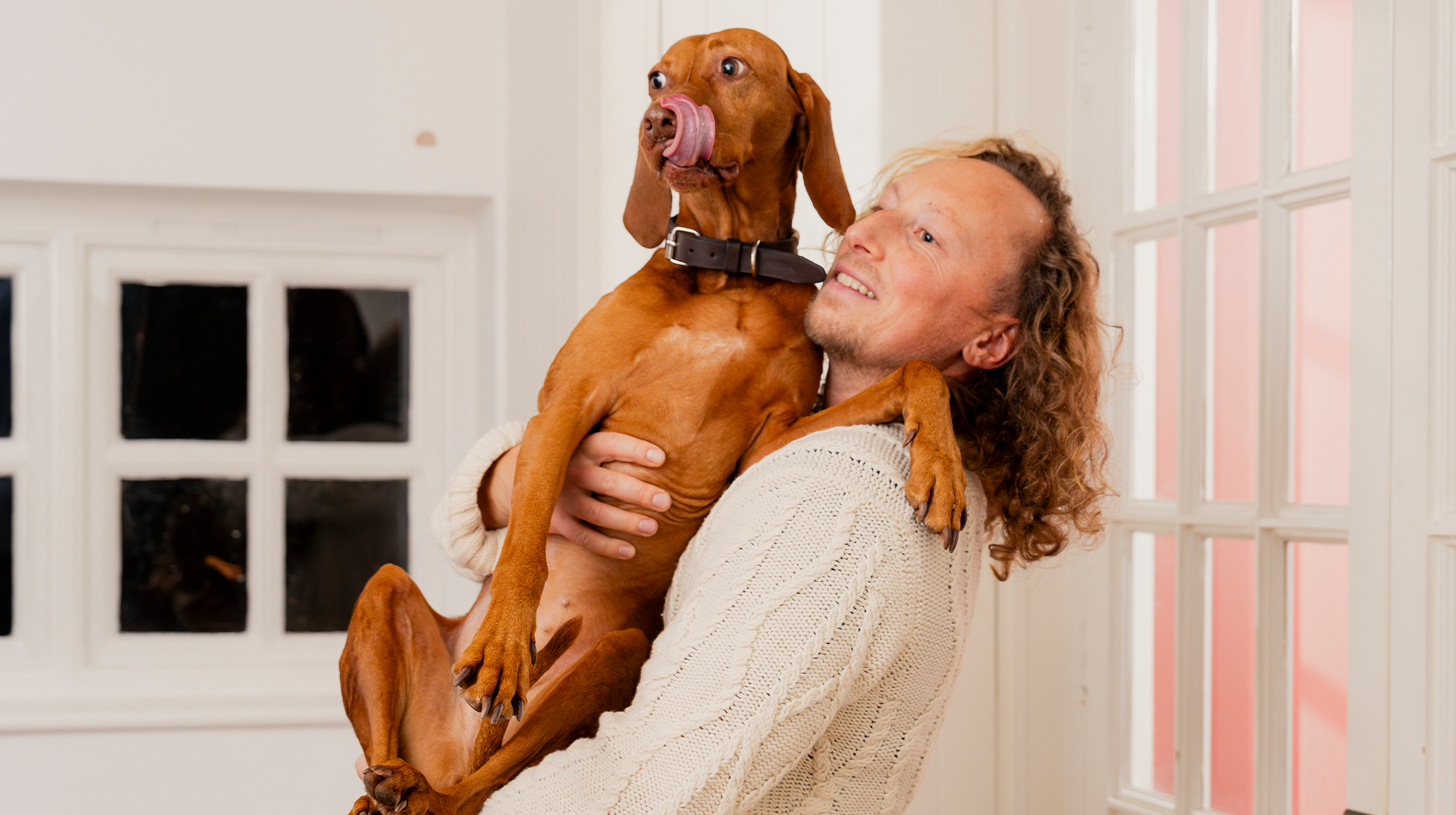 Owner holding their auburn Pointer who's licking their lips.