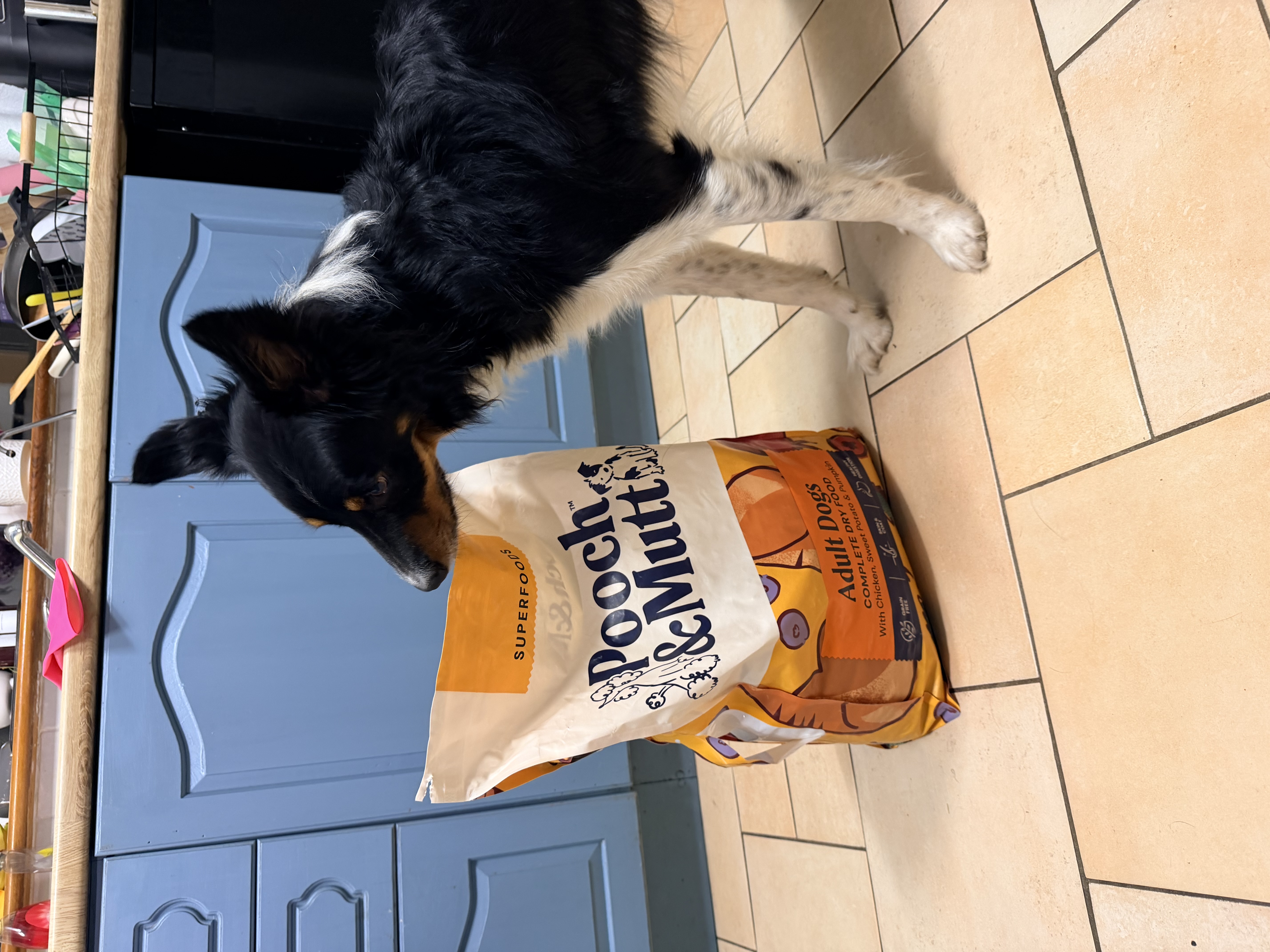 IMG 1459 - Vanessa Micelotta Britt