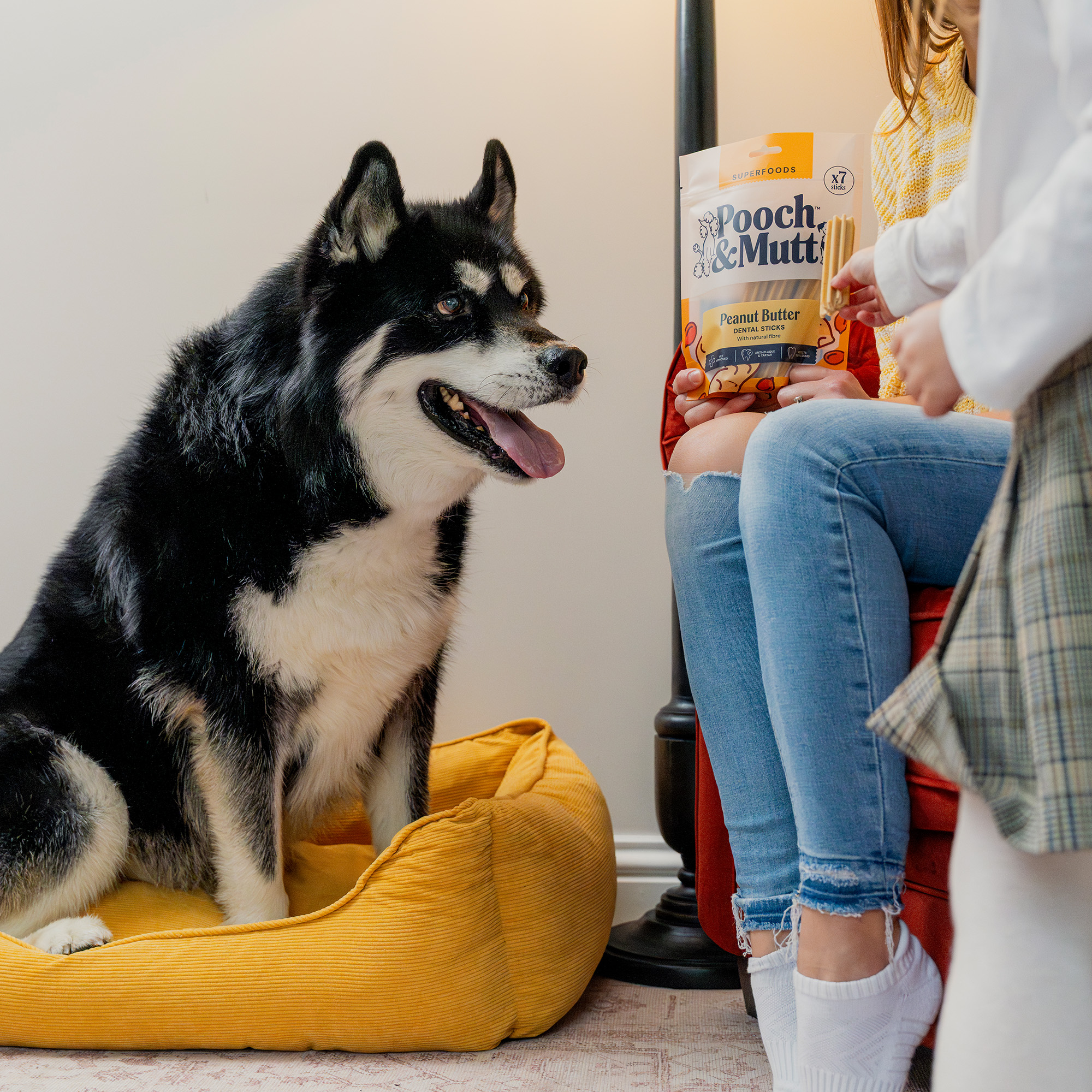 Peanut Butter Dental Sticks For Dogs DSPEANUT 1 lifestyle