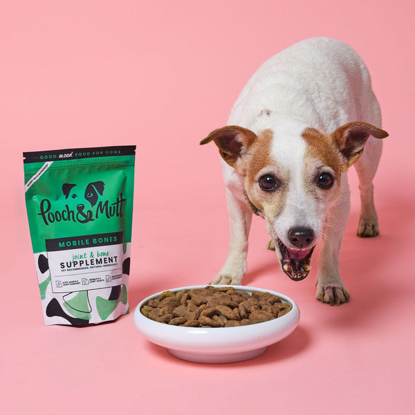 3 key nutrients your active dog needs in their diet-Image 3