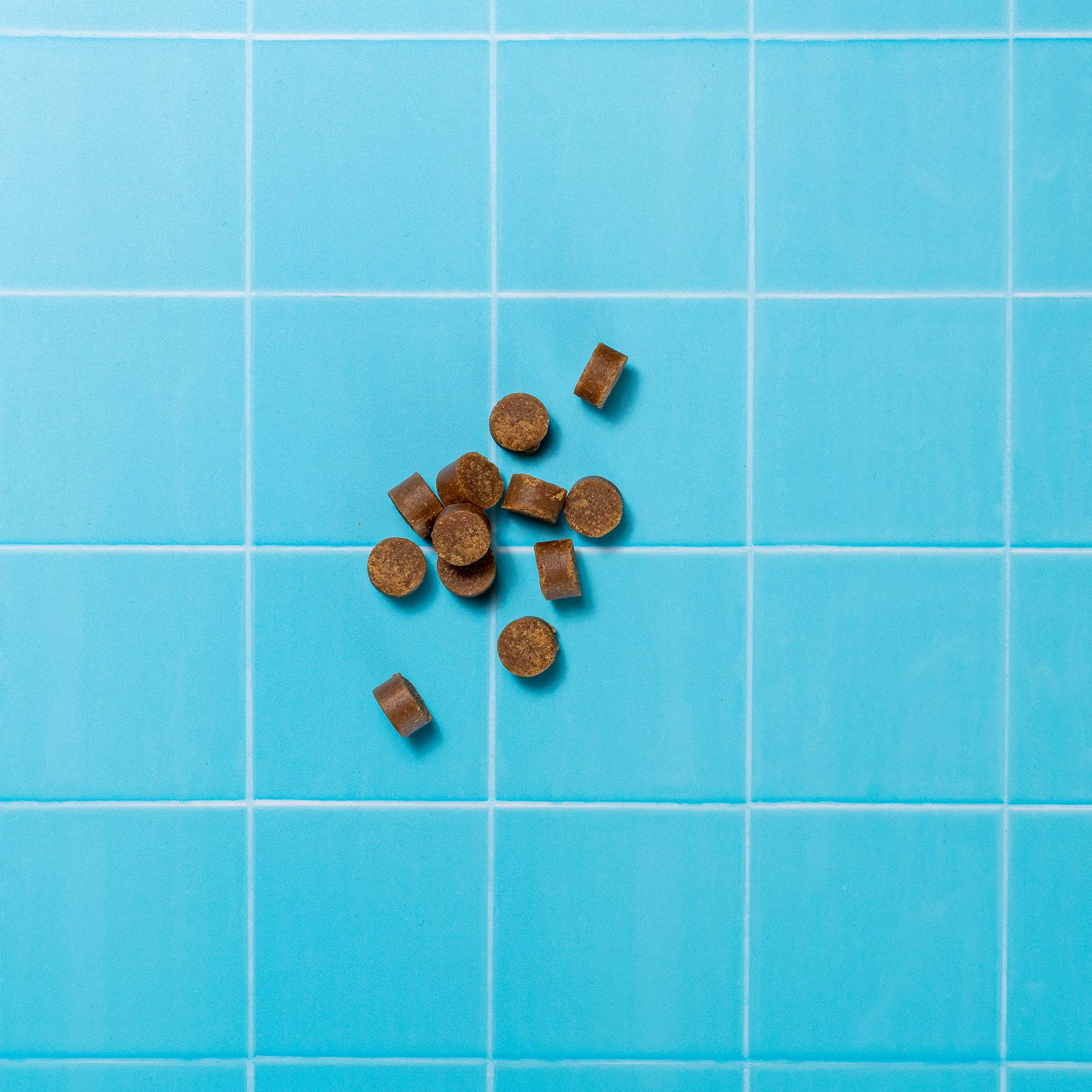 FIBRE VETERINARY P&M REBRAND