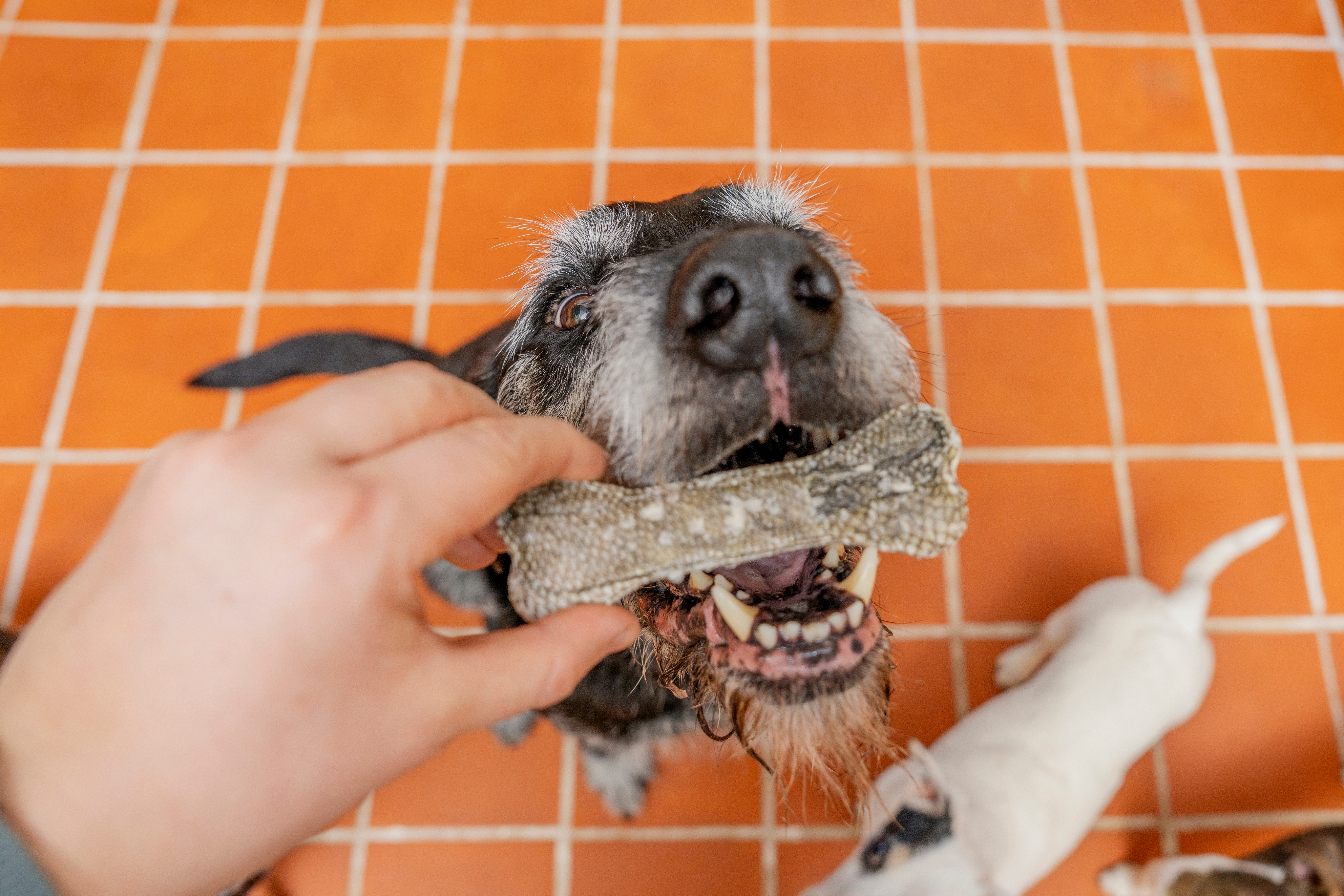 103f3c04a9d8bc7c7c192003b1bb20793031ecbc