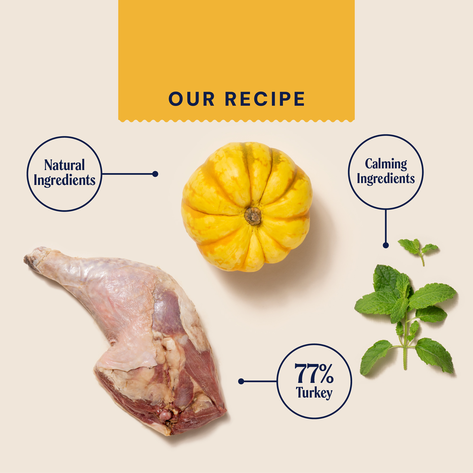 P&M INGREDIENT IMAGE SUPERFOODS INDOOR