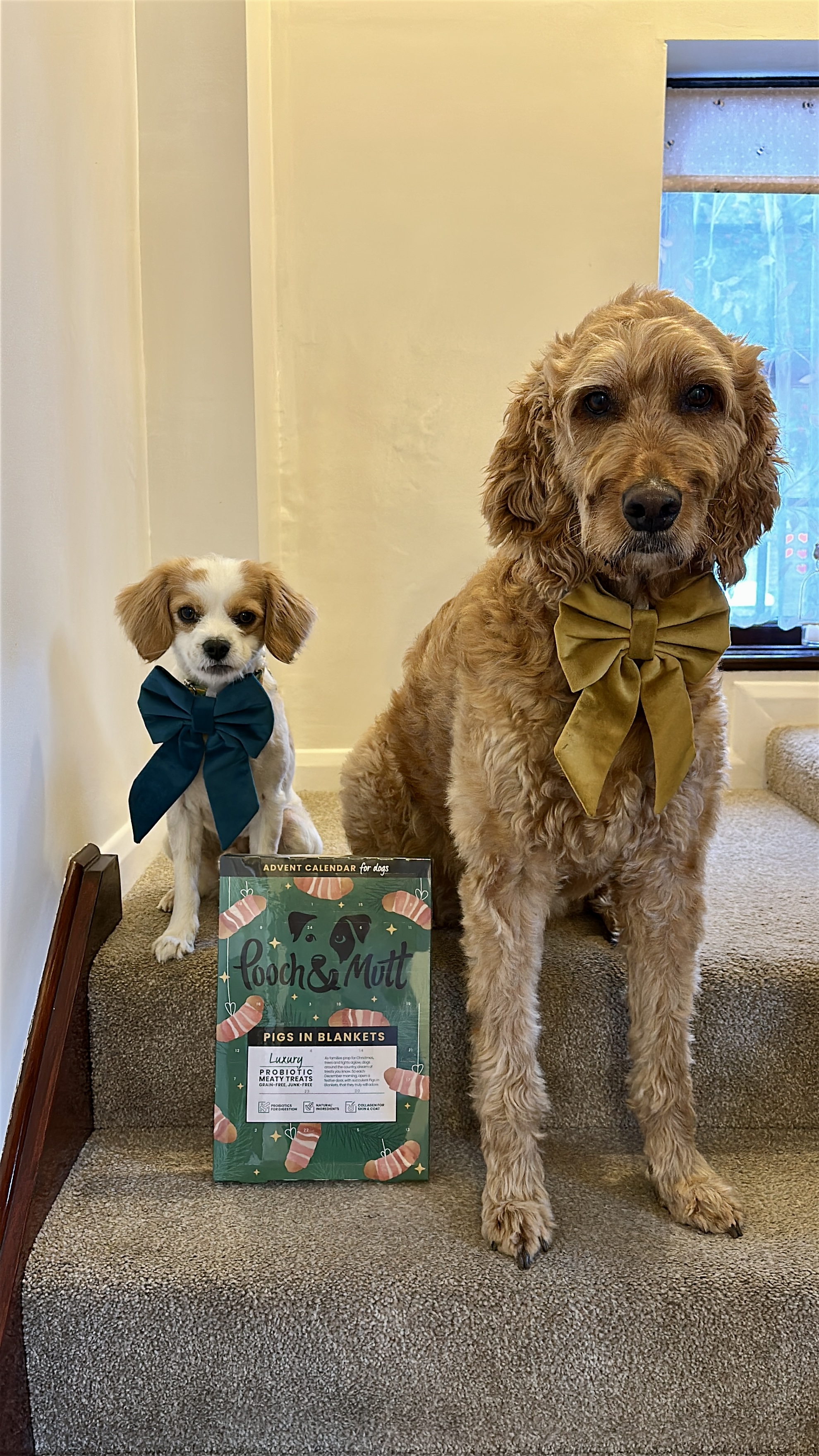 IMG 6791 - Elizabeth Noga