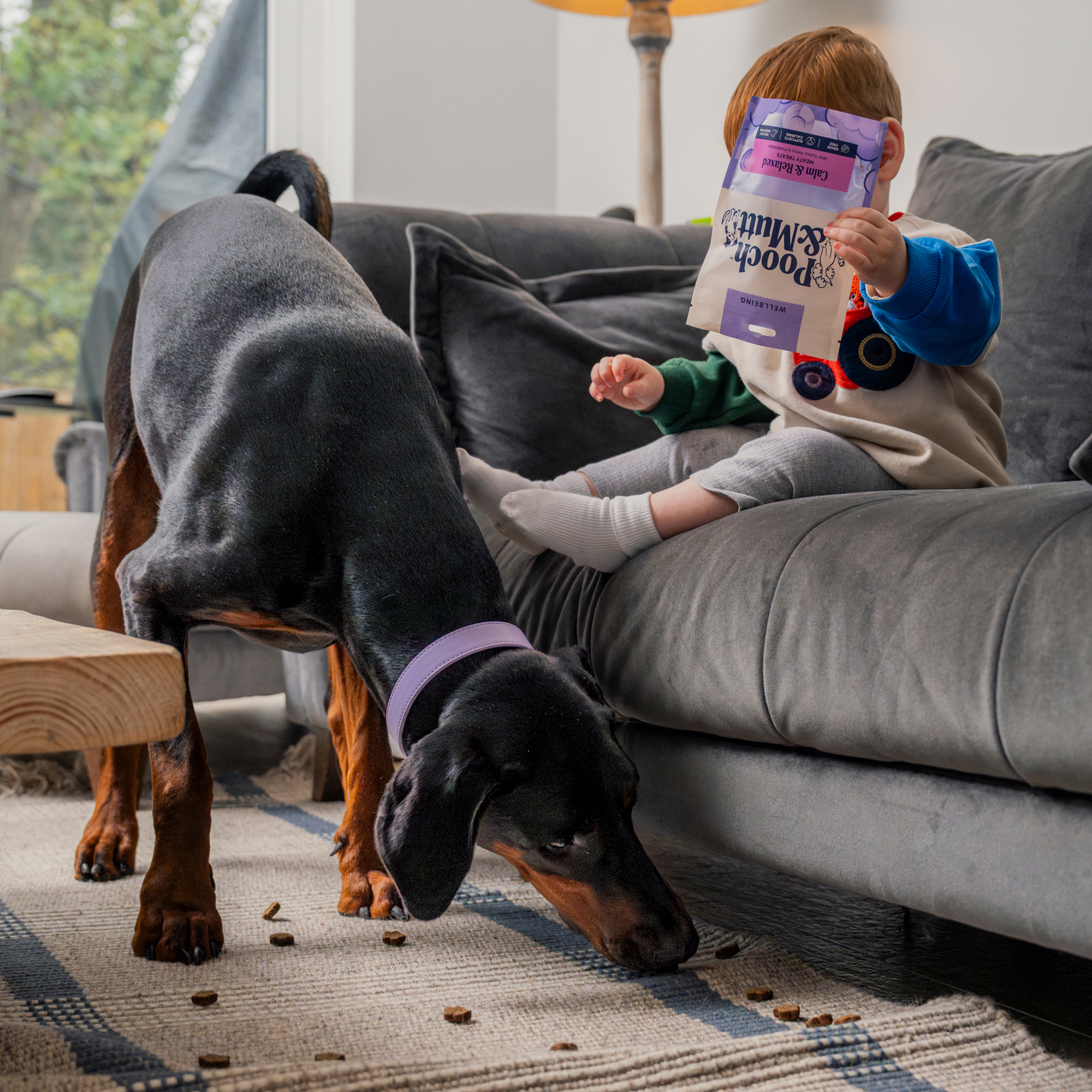 Calming Probiotic Meaty Treats MTCX7 lifestyle