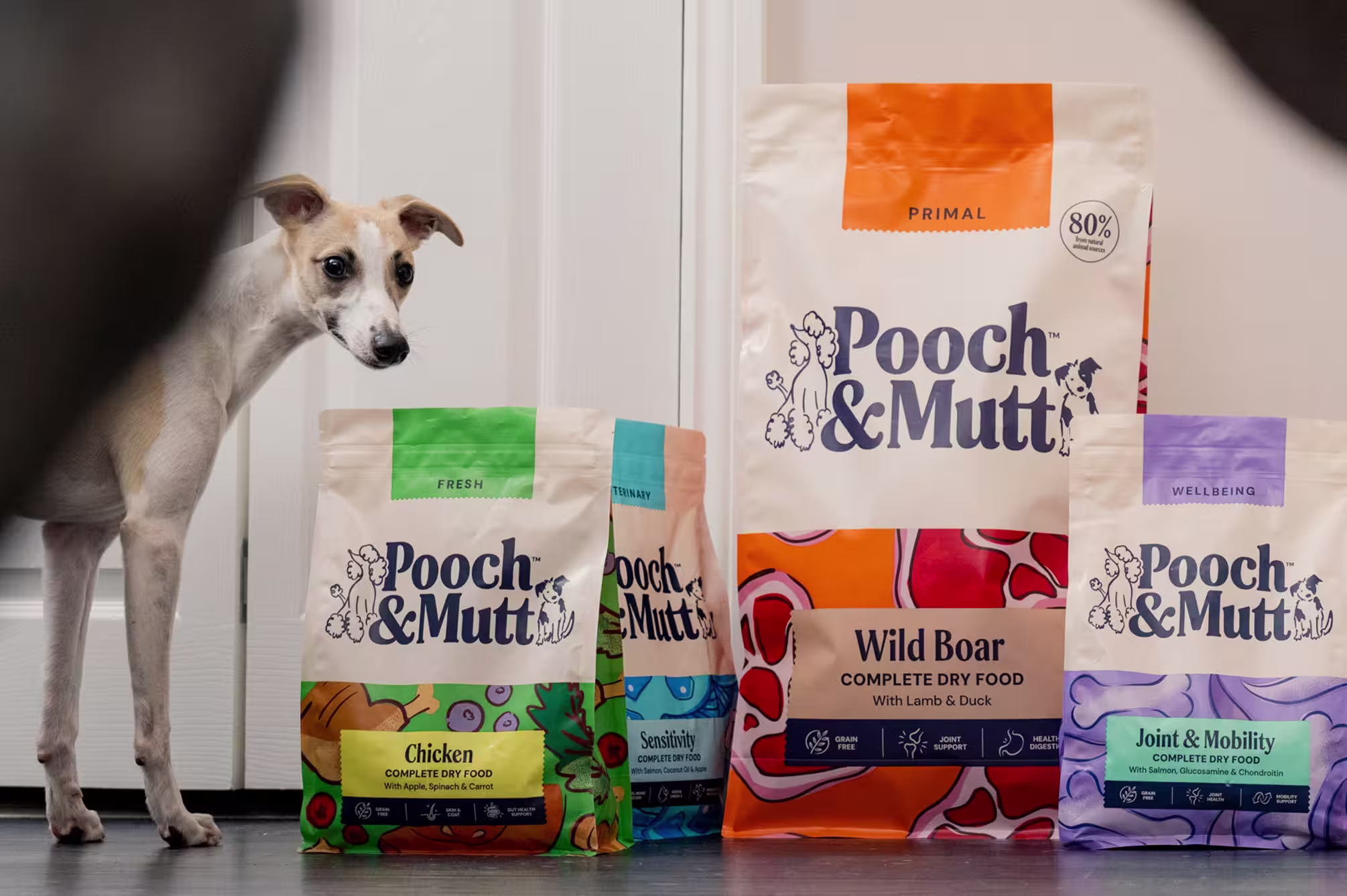 Dog Food Bundles collection banner