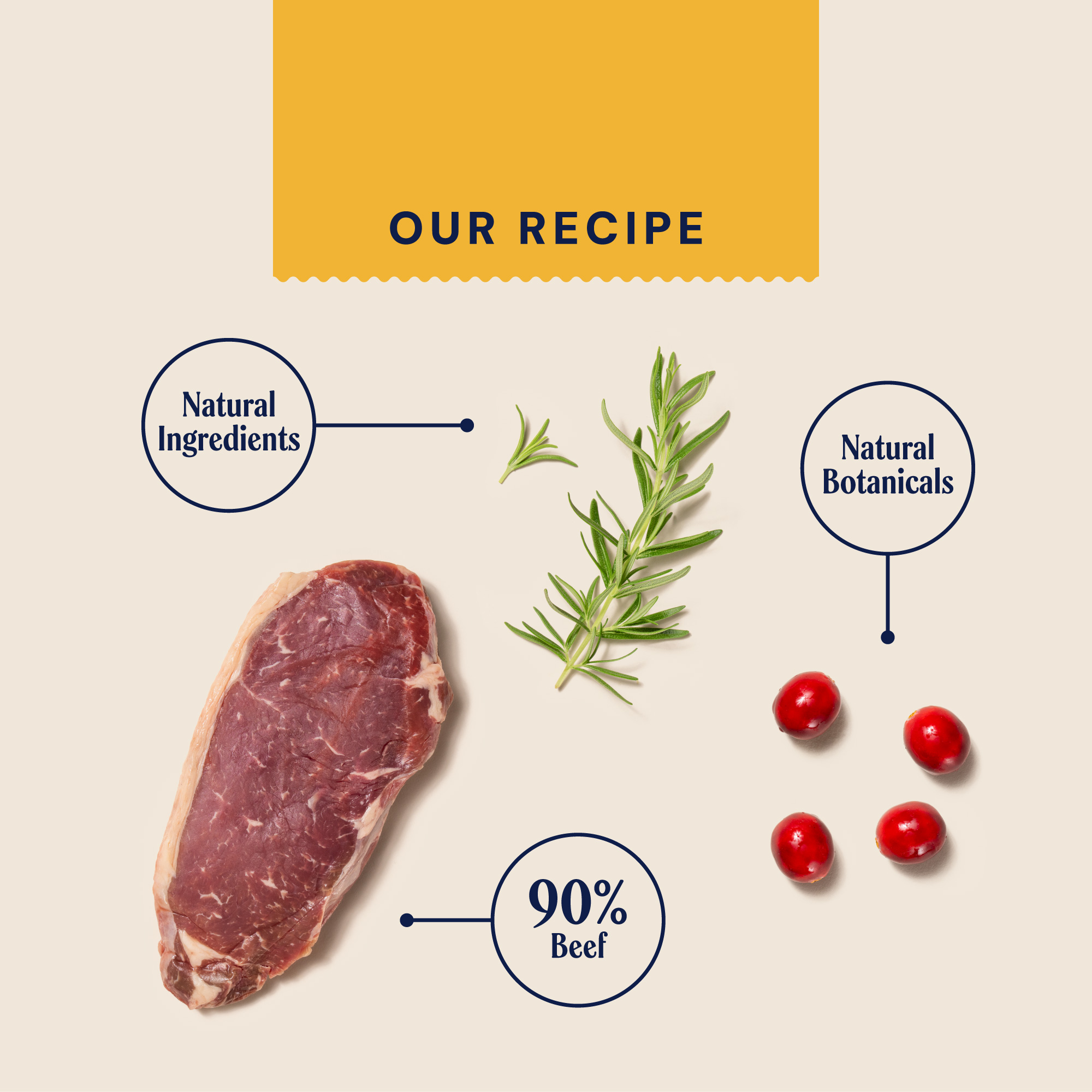 PUPPY JERKY RECIPE CARD