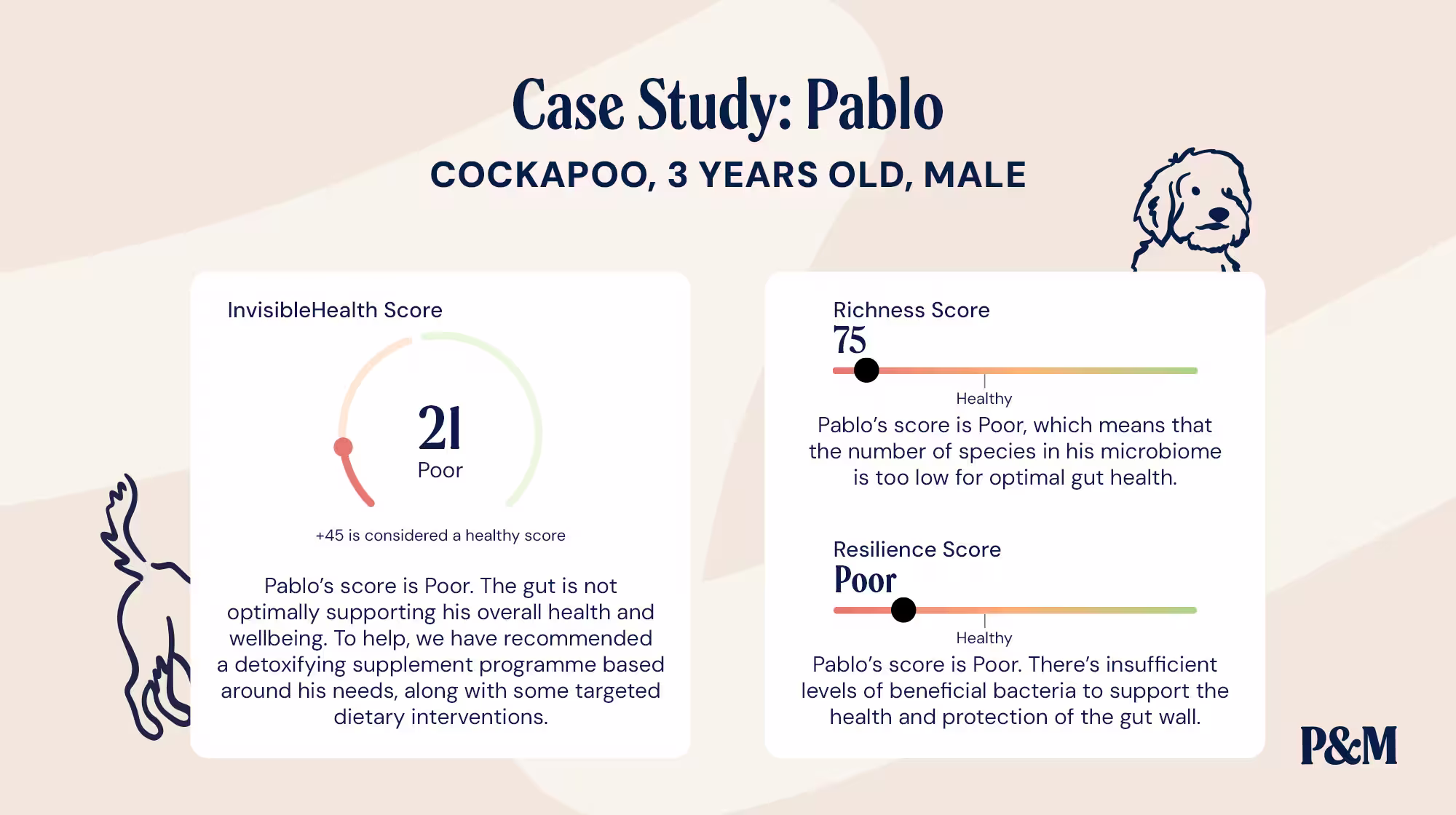 P-26M BLOG INFOGRAPHIC GUT HEALTH CASE STUDIES PABLO