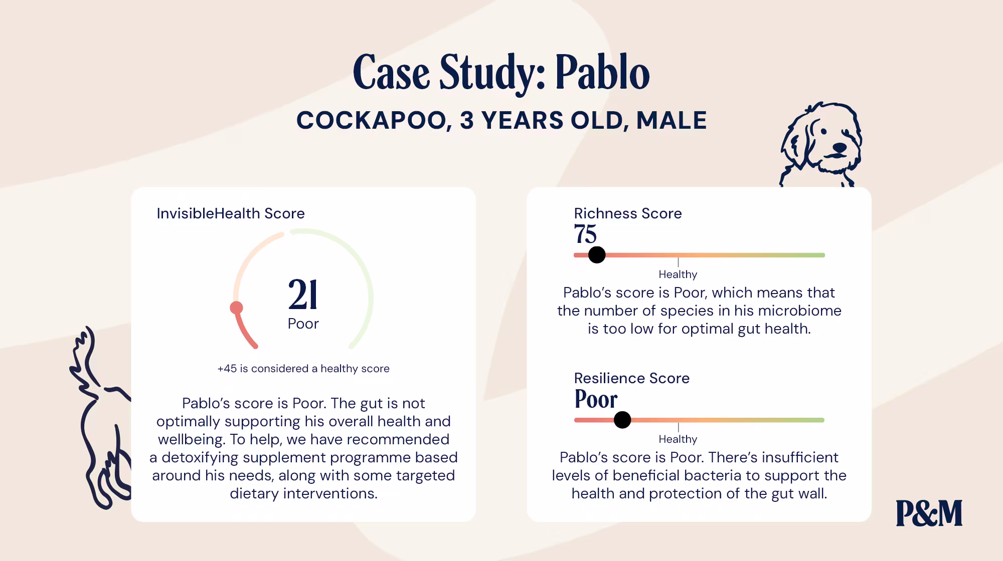 P-26M BLOG INFOGRAPHIC GUT HEALTH CASE STUDIES PABLO