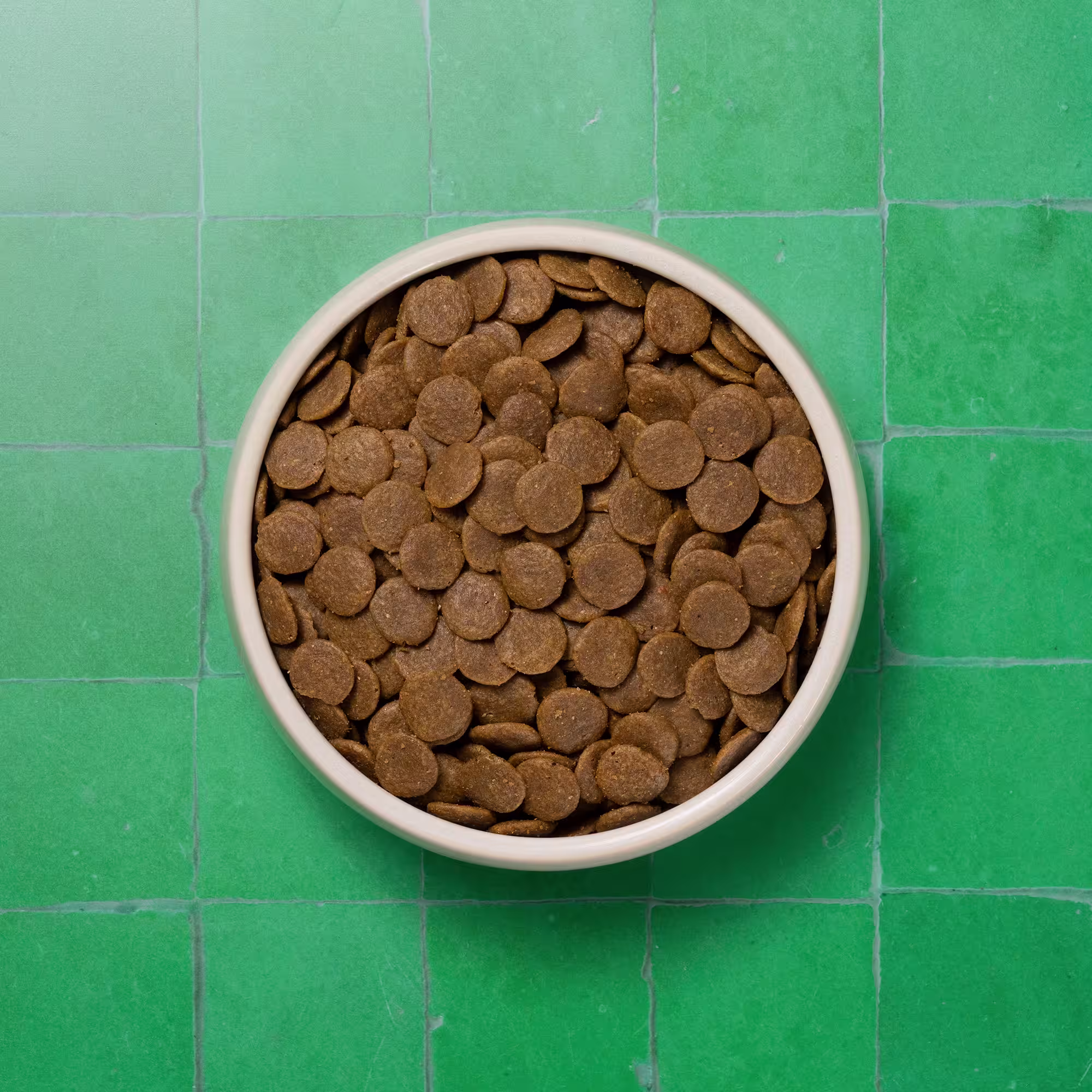 Single Protein Fresh Salmon Dry Food Bowl