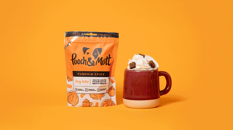 A GIF of a Puppuccino with changing toppers from our range of treats