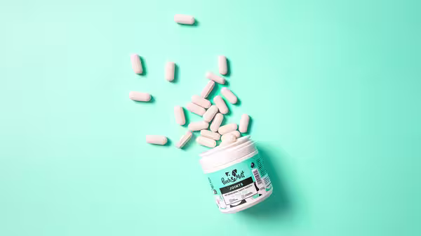 Our Pooch & Mutt Joint Supplements, with the pills tumbling out of the tub, against an aqua blue backdrop