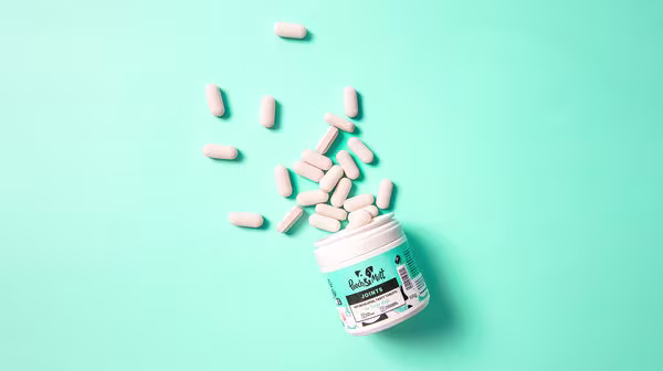 Our Pooch & Mutt Joint Supplements, with the pills tumbling out of the tub, against an aqua blue backdrop