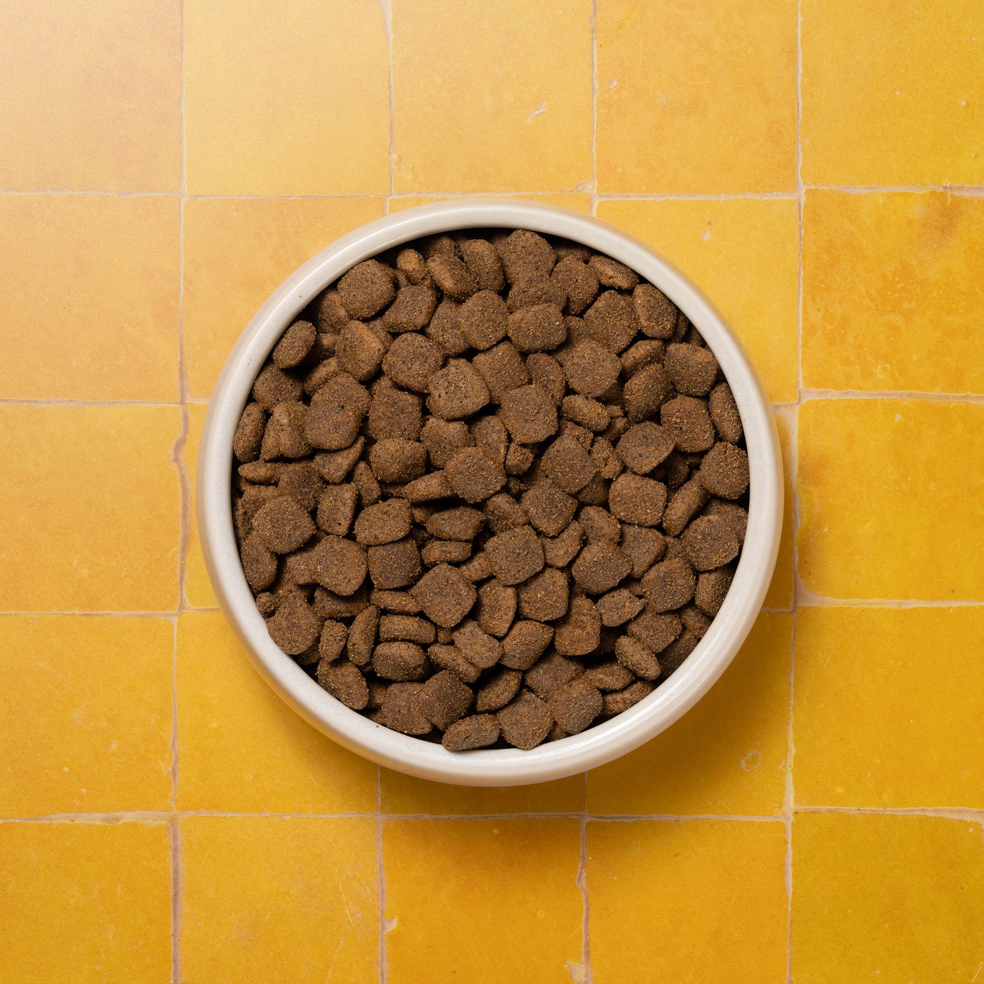 BOWLS ADULT FULL BOWL P&M REBRAND